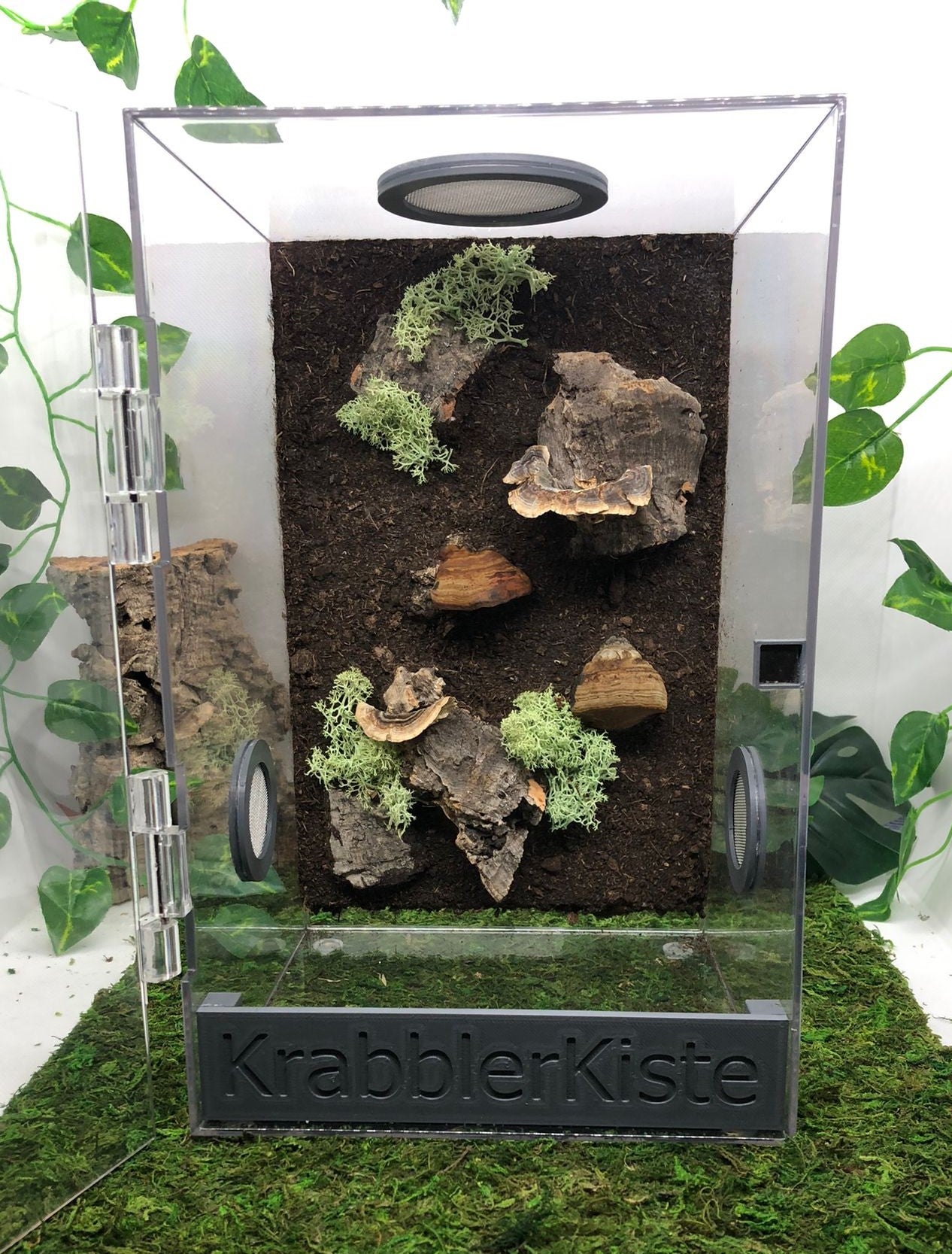 Acryl Terrarium KrabblerHeime Shop KrabblerKiste