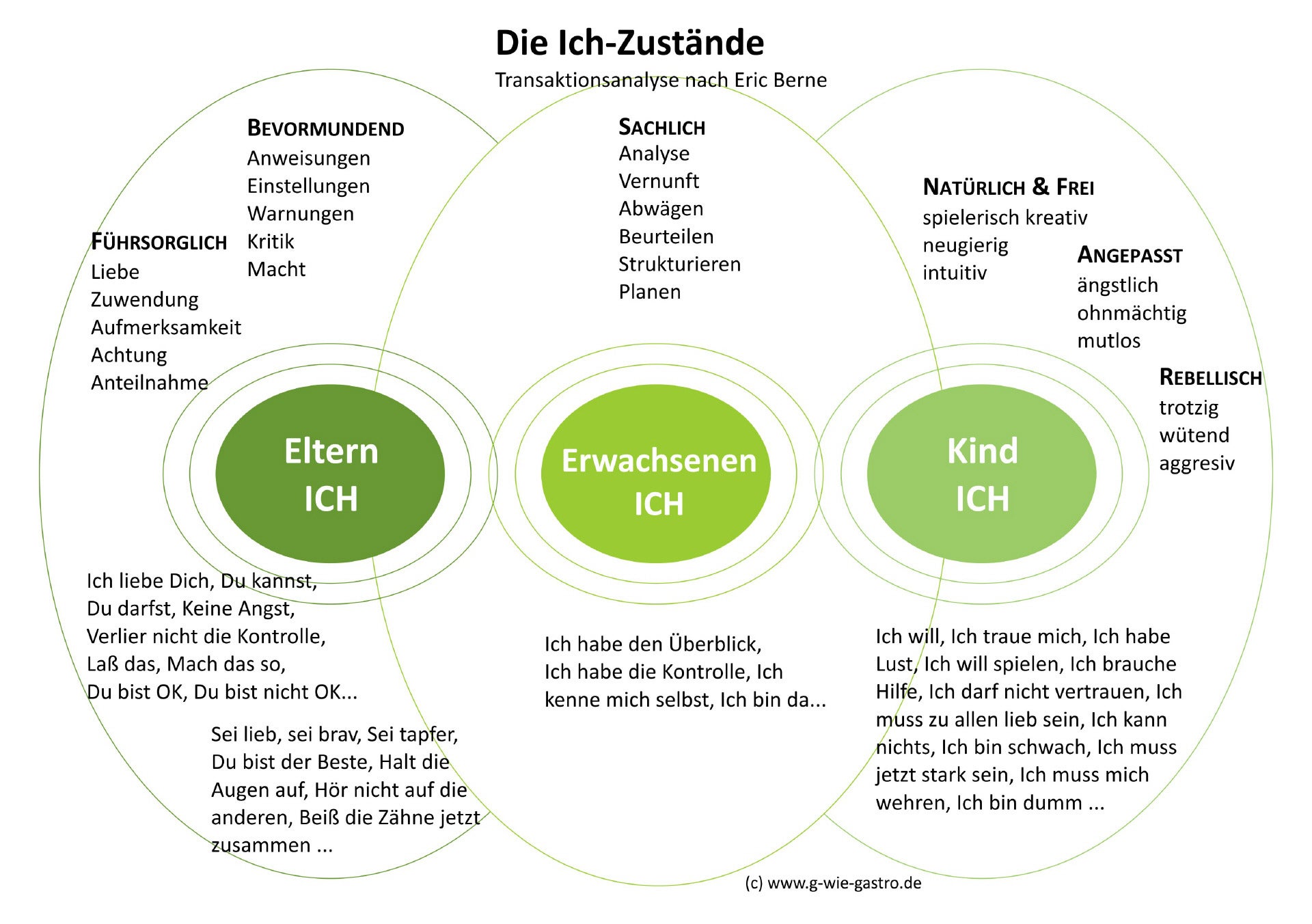 Transaktionsanalyse | Psychotherapie In Voitsberg - Katrin Fähnrich