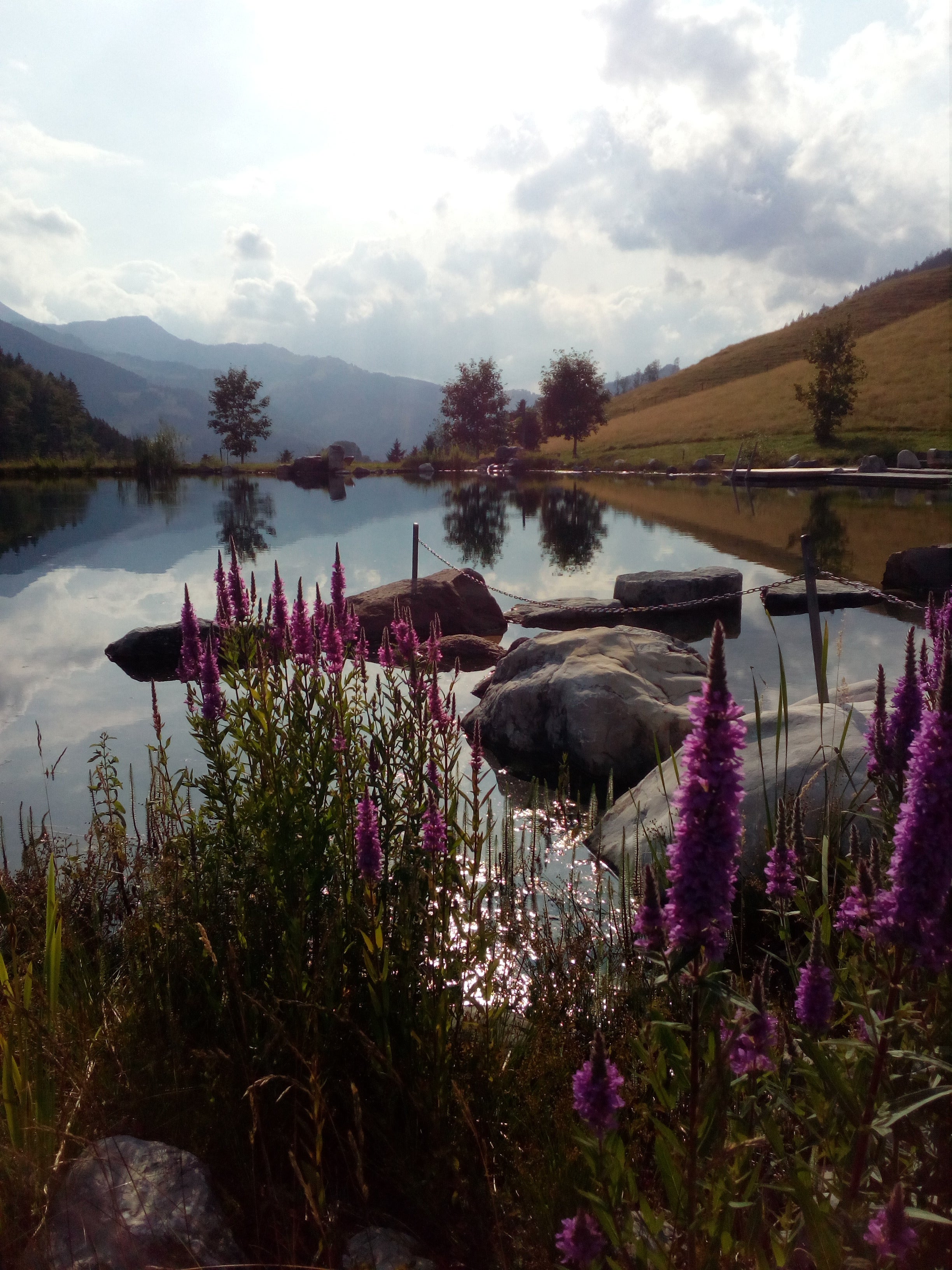 Über Uns | Berggasthof Bichlersee