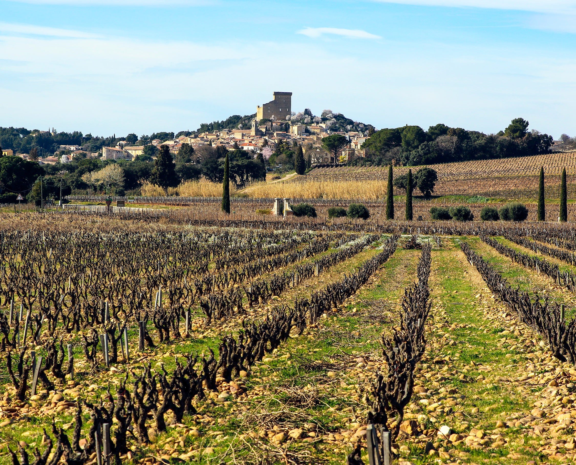 Châteauneuf du Pape intensive vineyard & fine wine experience ...