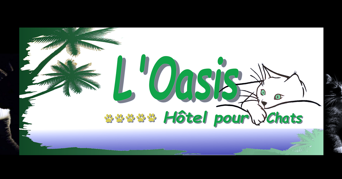 Accueil Chats L Oasis Hotel Pour Chats Chatterie Pension Garderie 06 Accueil Chats L Oasis Hotel Pour Chats Chatterie Pension Garderie 06