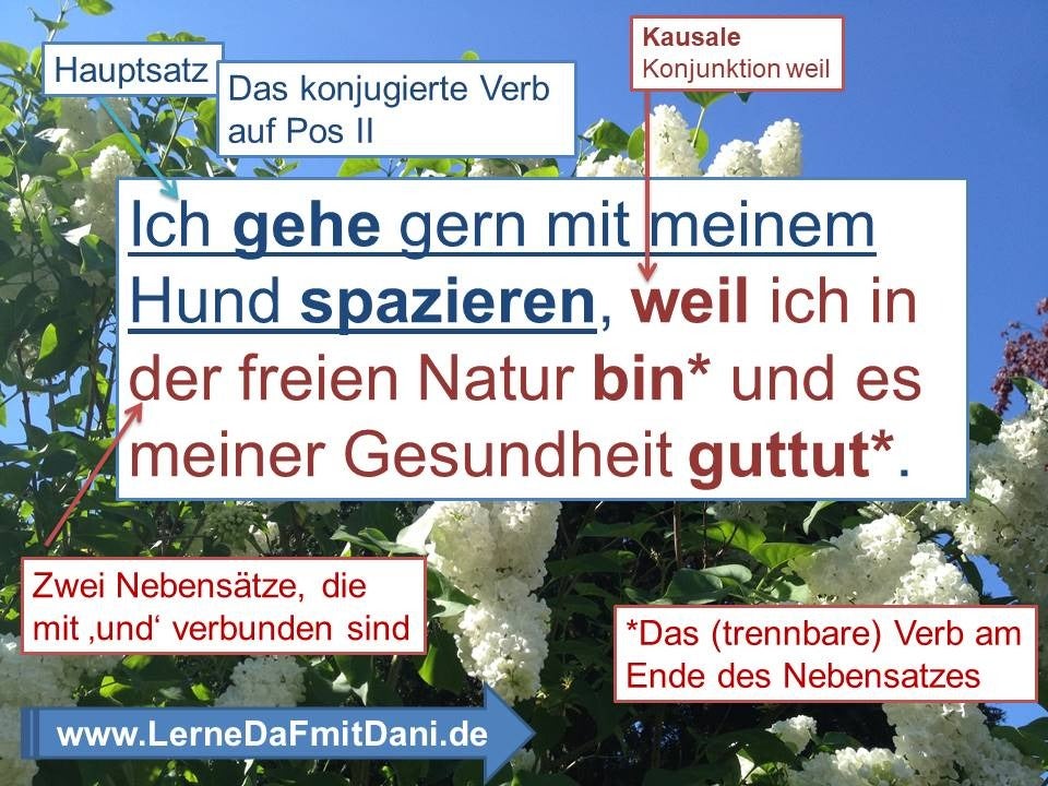 Sätze - Lernmaterial | Lerne Deutsch Mit Dani