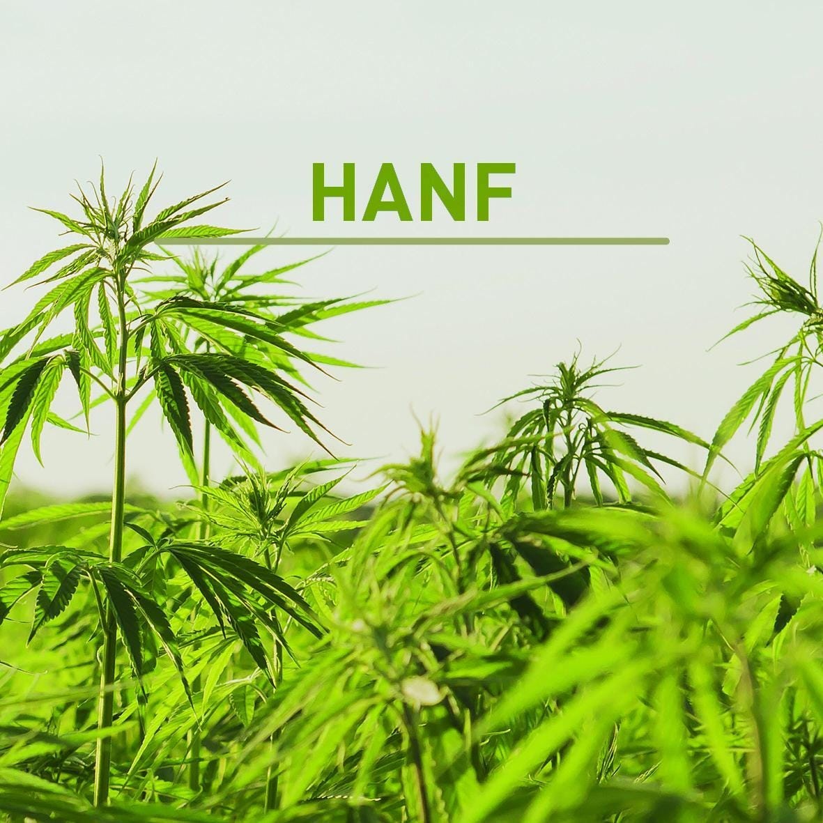 Hanf Materialien FLORES Naturstudio