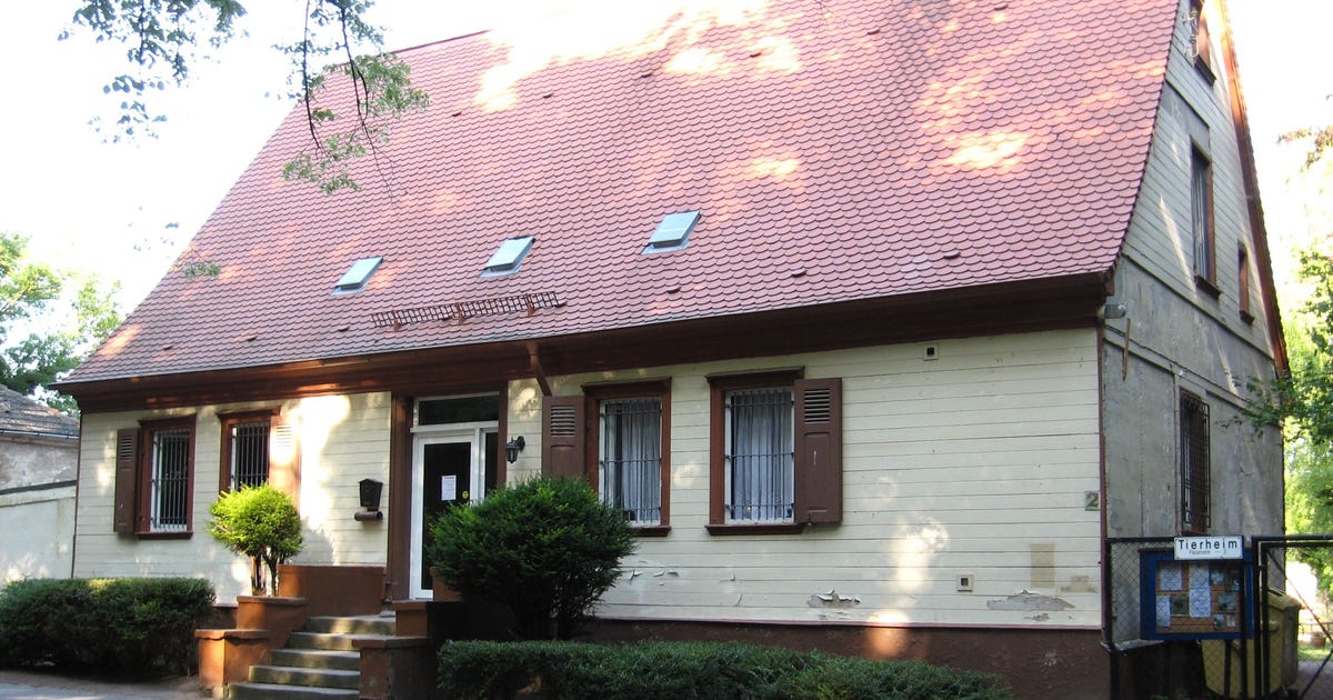 Home Tierheim Köthen