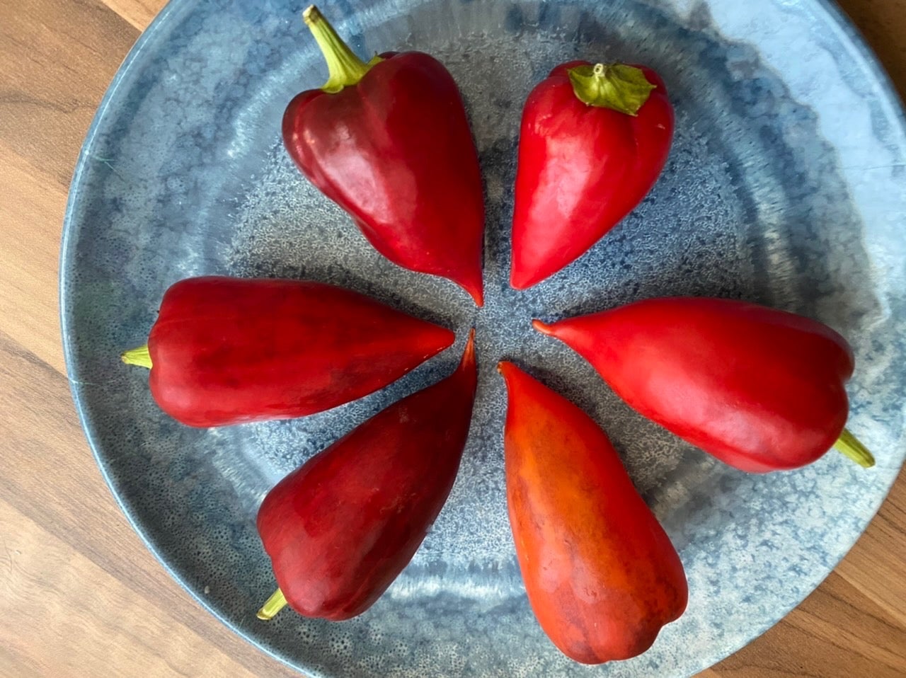 WIEDER DA: Violet Sparkle Paprika (Schärfe: 0) - Bunte Paprika und ...