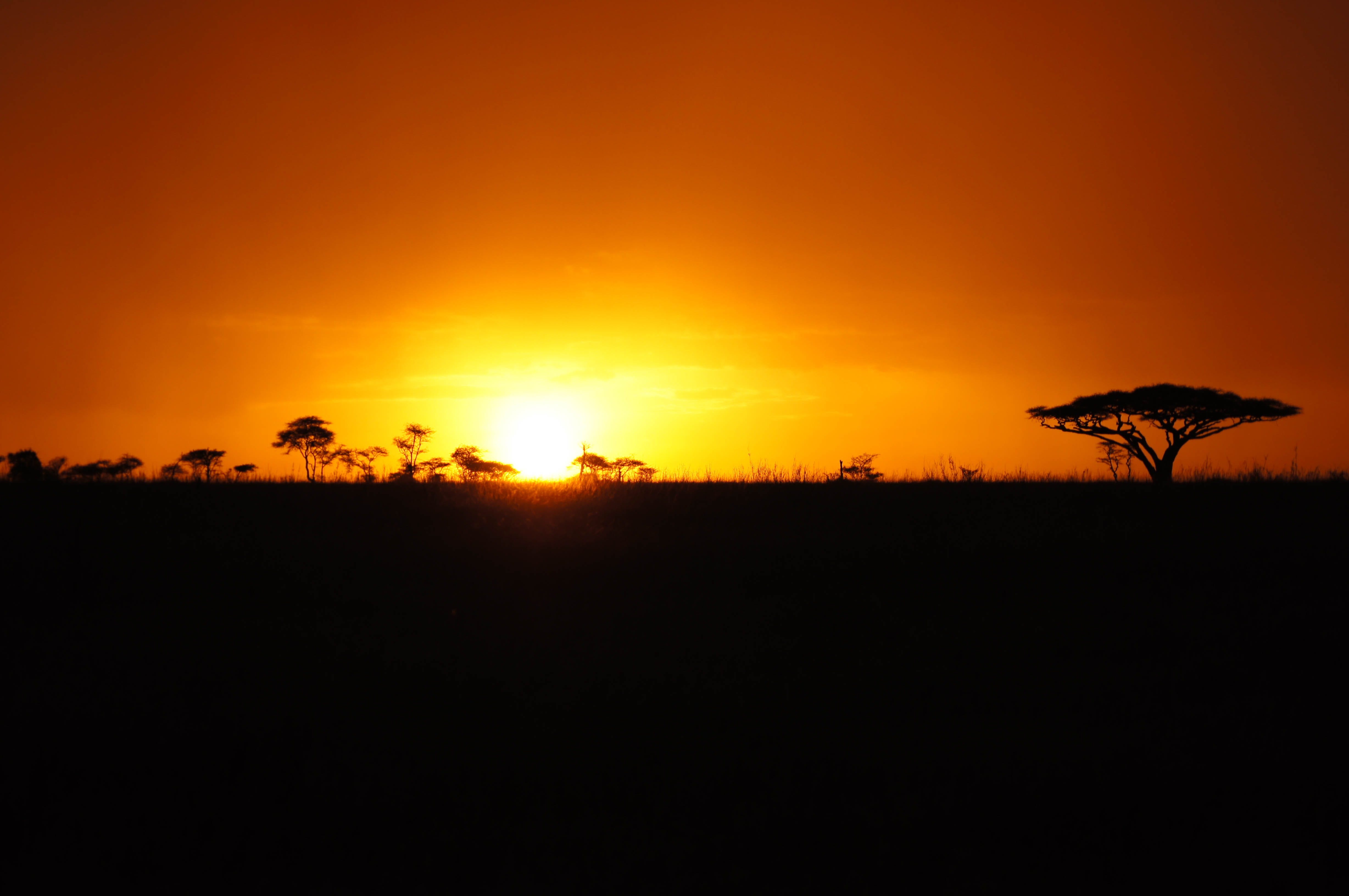 Home | Komba Tanzania Safari