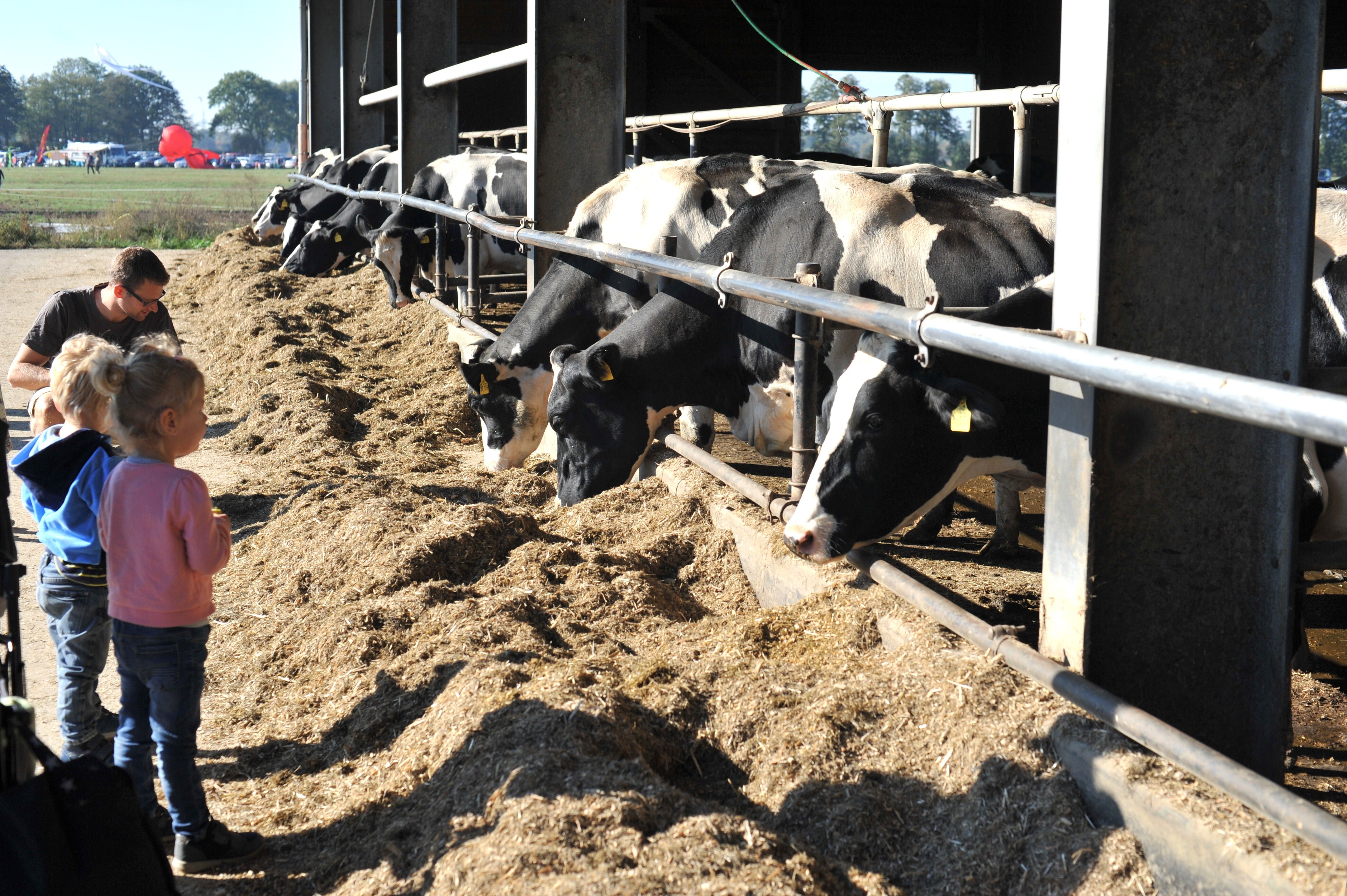 Ein Tag auf dem Hof - Unser Hof | Milch-Hof Osterwiese Direkt GbR