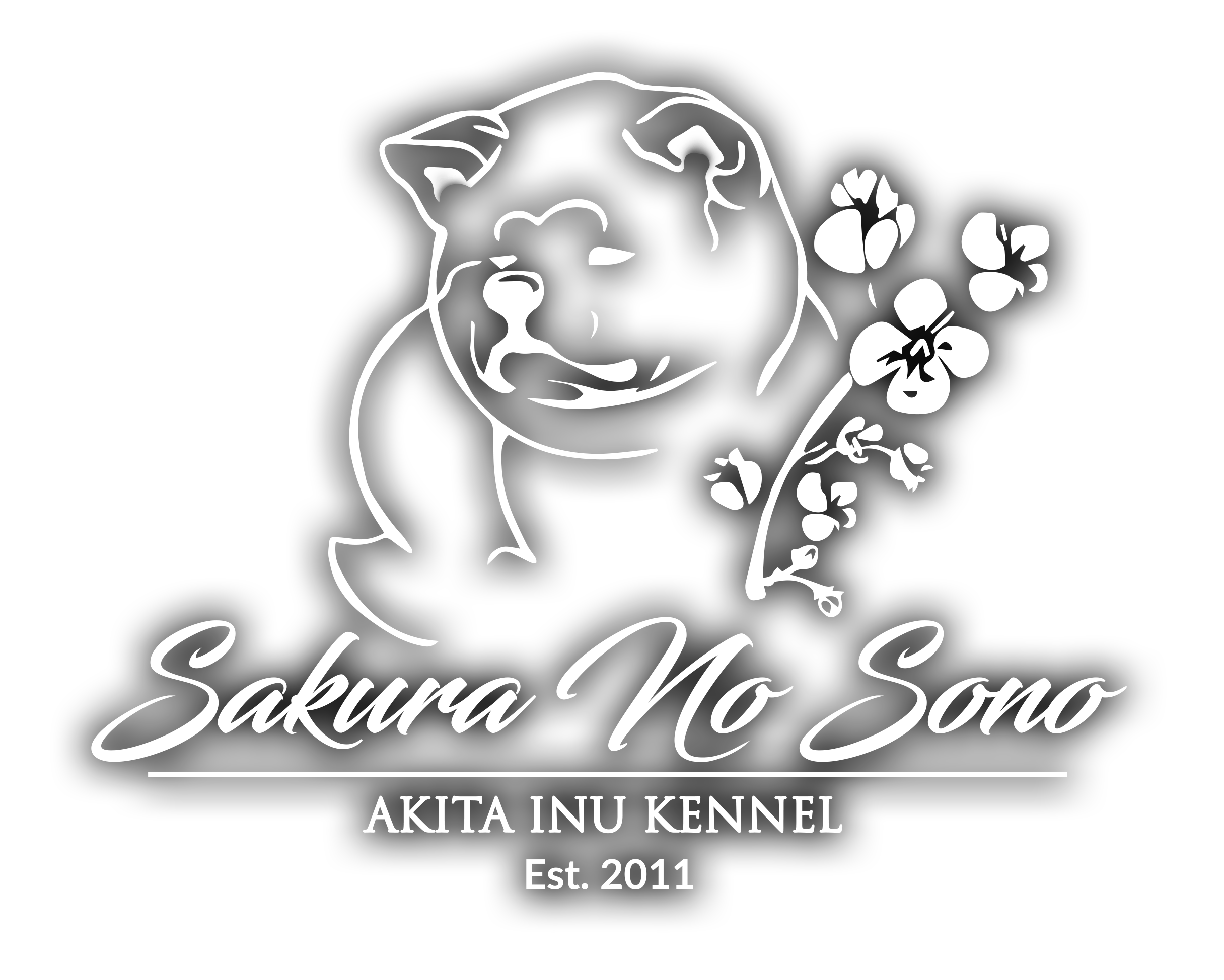 Japanese Akita | Sakura No Sono