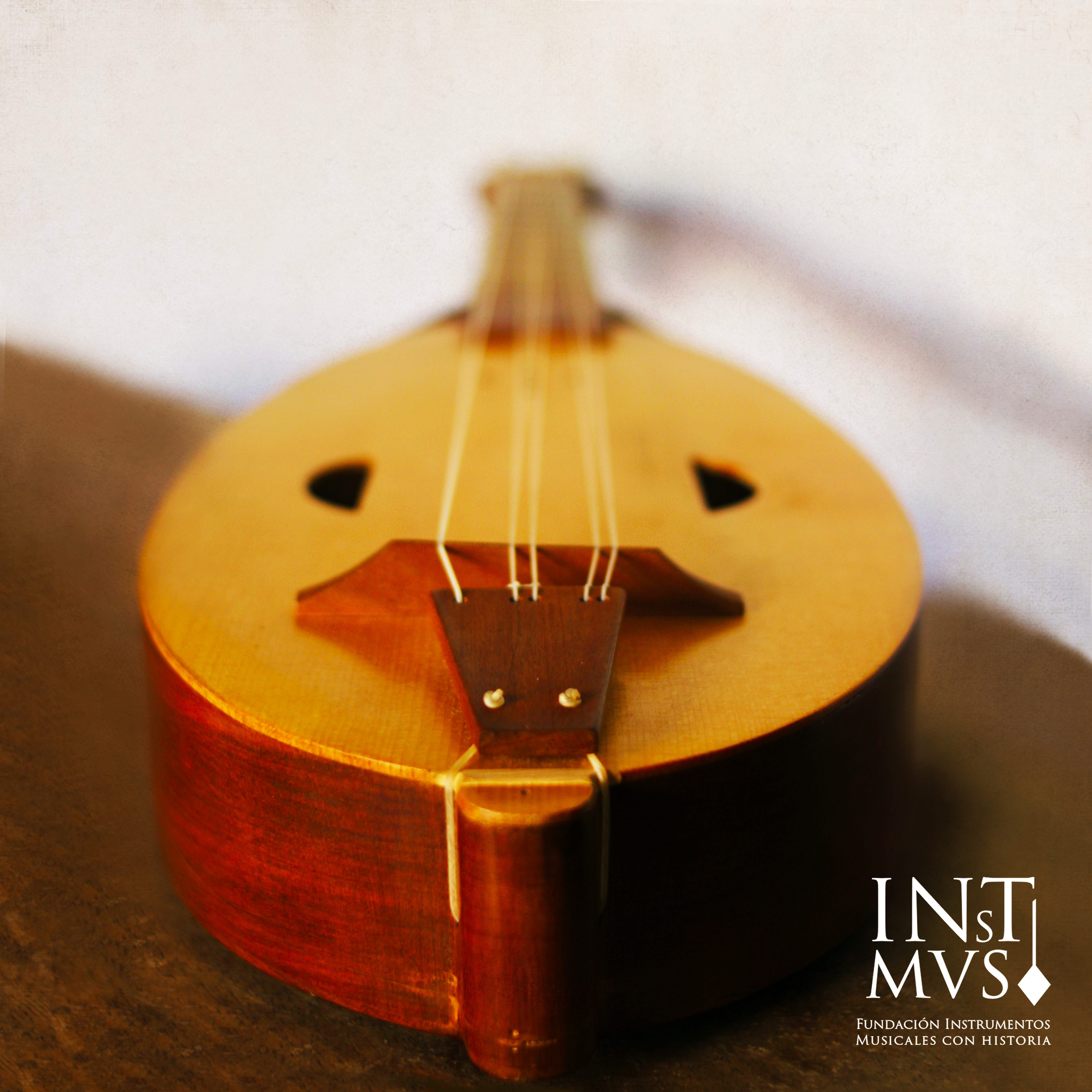 Guitarras y laudes INSTRUMENTOS Fundación Instrumentos Musicales