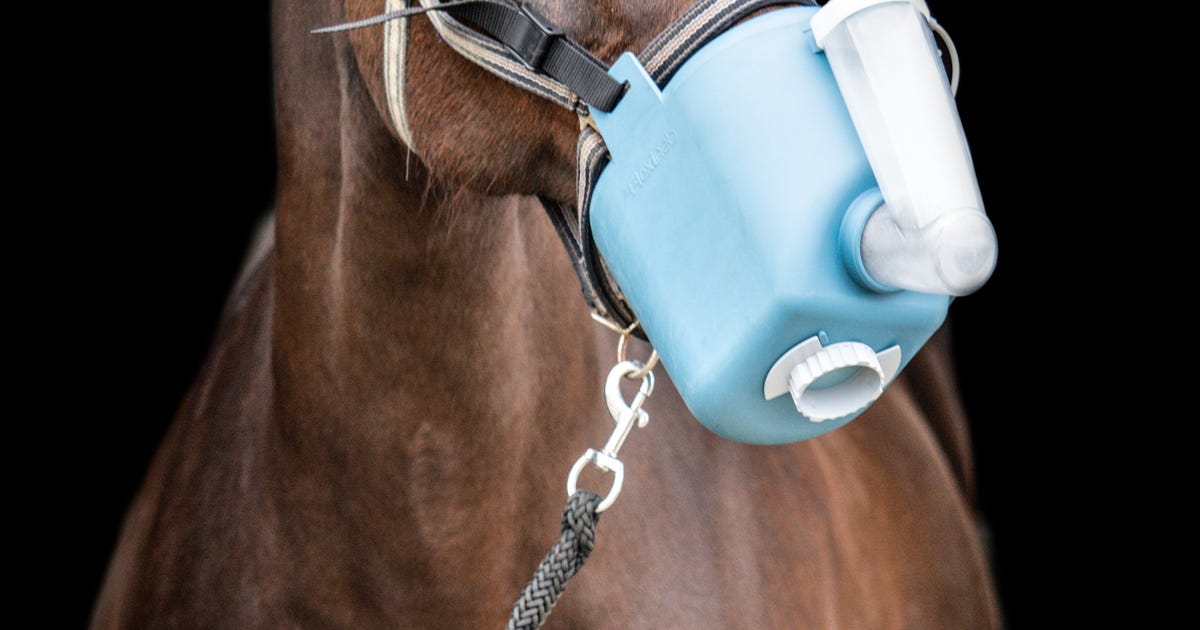 Inconsistent vorst overloop Vernevelmasker | Horse Motion, sportmassage voor paarden