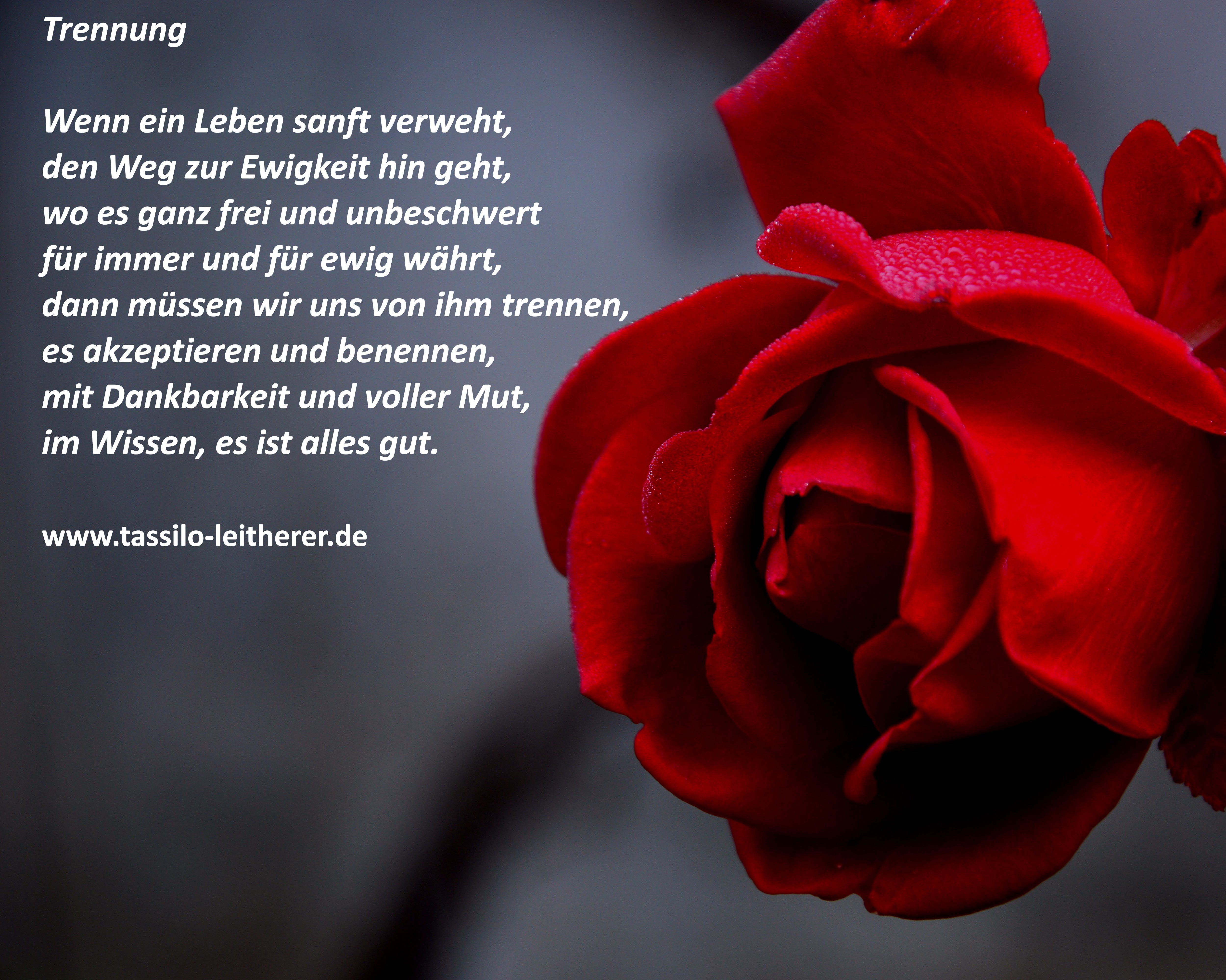 Gedichte Der Tod existiert nicht in unserer Erinnerung hat alles
