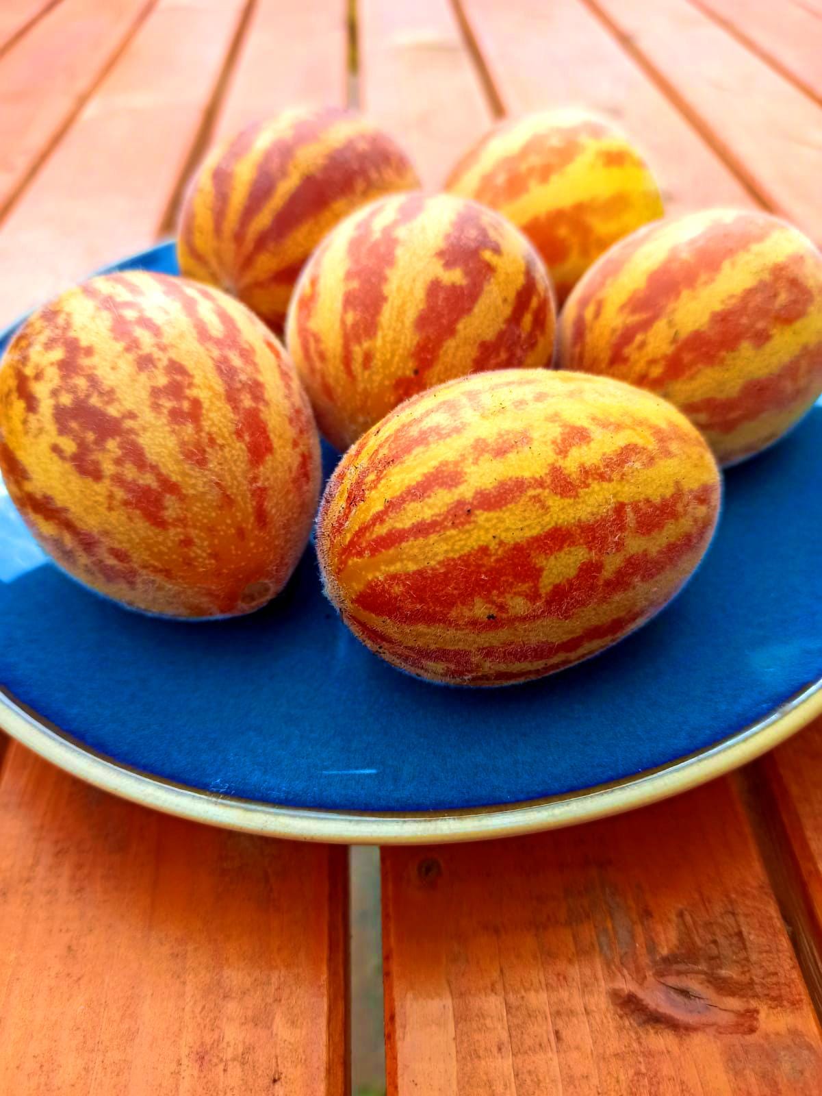 Rich Sweetness Honigmelone Gurke, Kürbis & Melone Shop Harvest