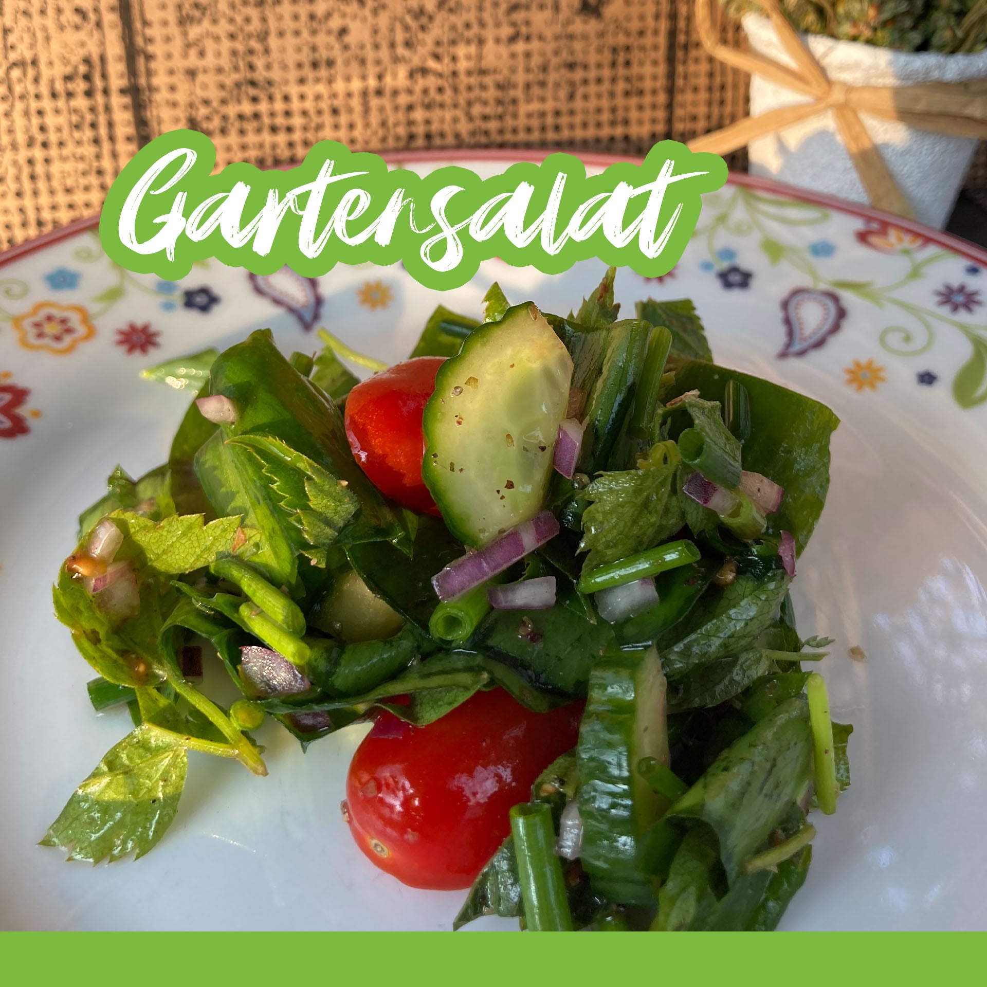 Gartensalat - Kochen | Cooks-Report.de