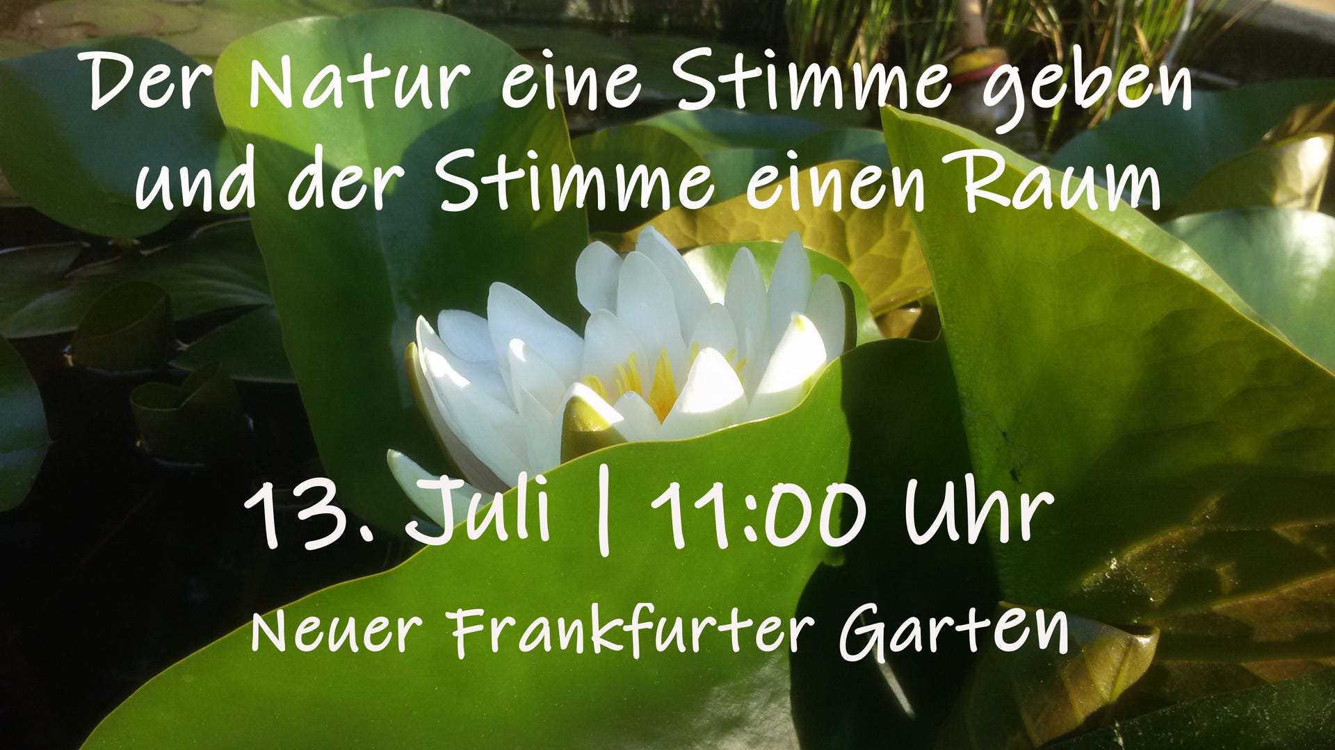 Veranstaltungen Neuer Frankfurter Garten