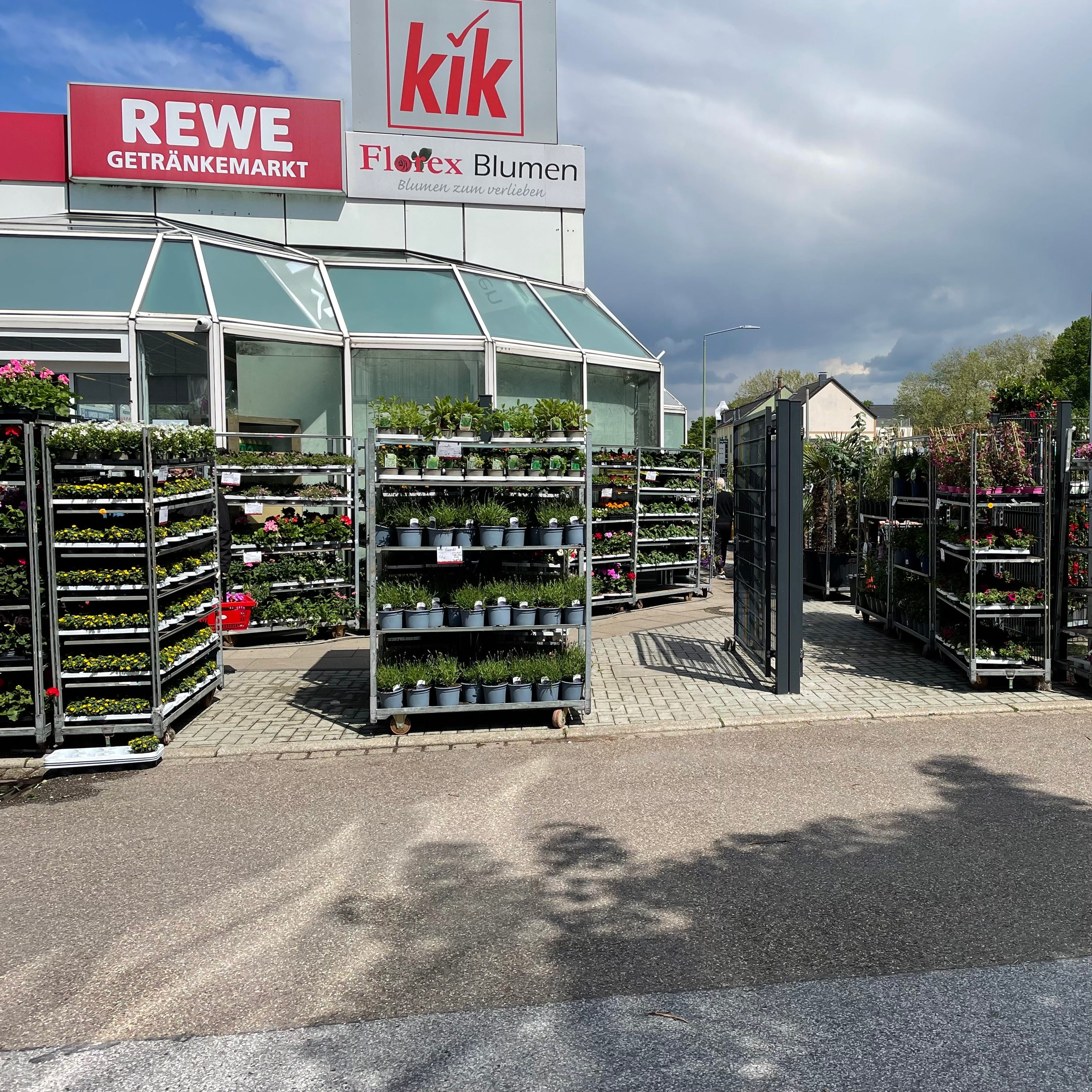 Gärtnerei Unsere Leistungen Florex Blumen GmbH