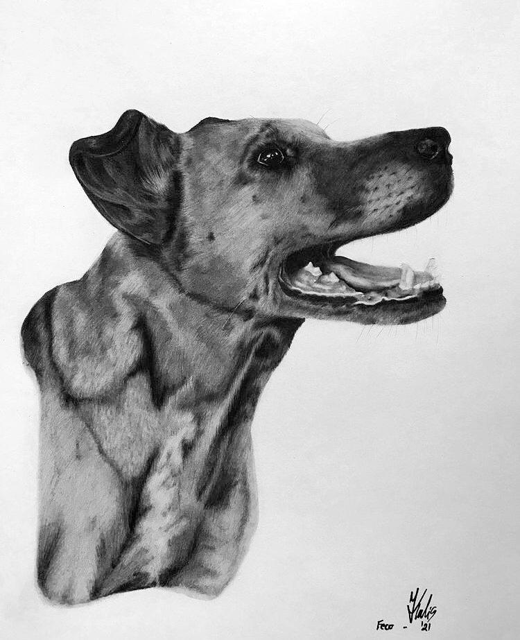 Meine Leistungen | Portraits by Jacky