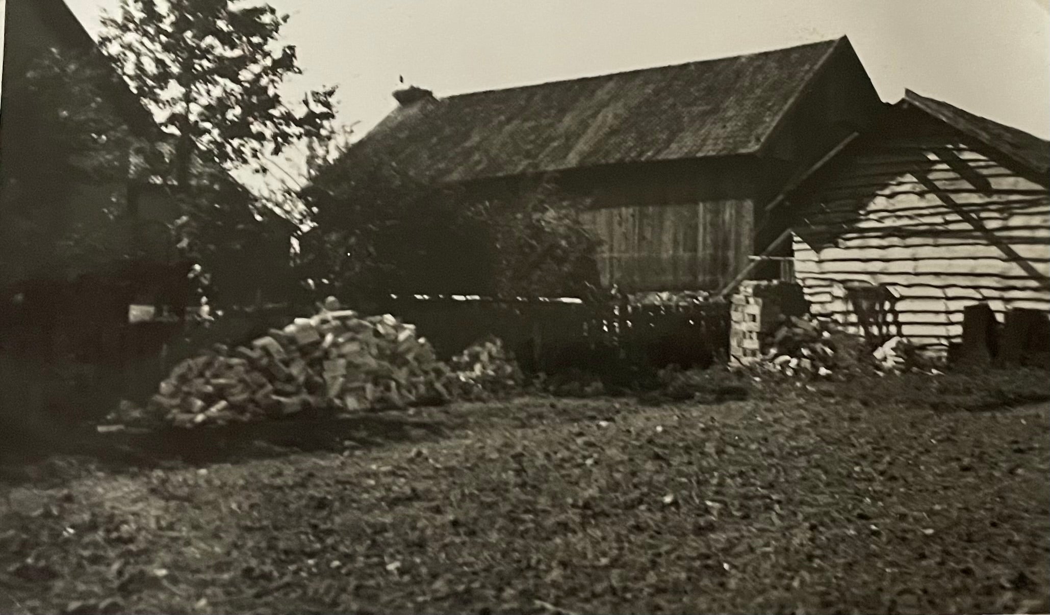 Der Büningshof | Büning ist lecker!