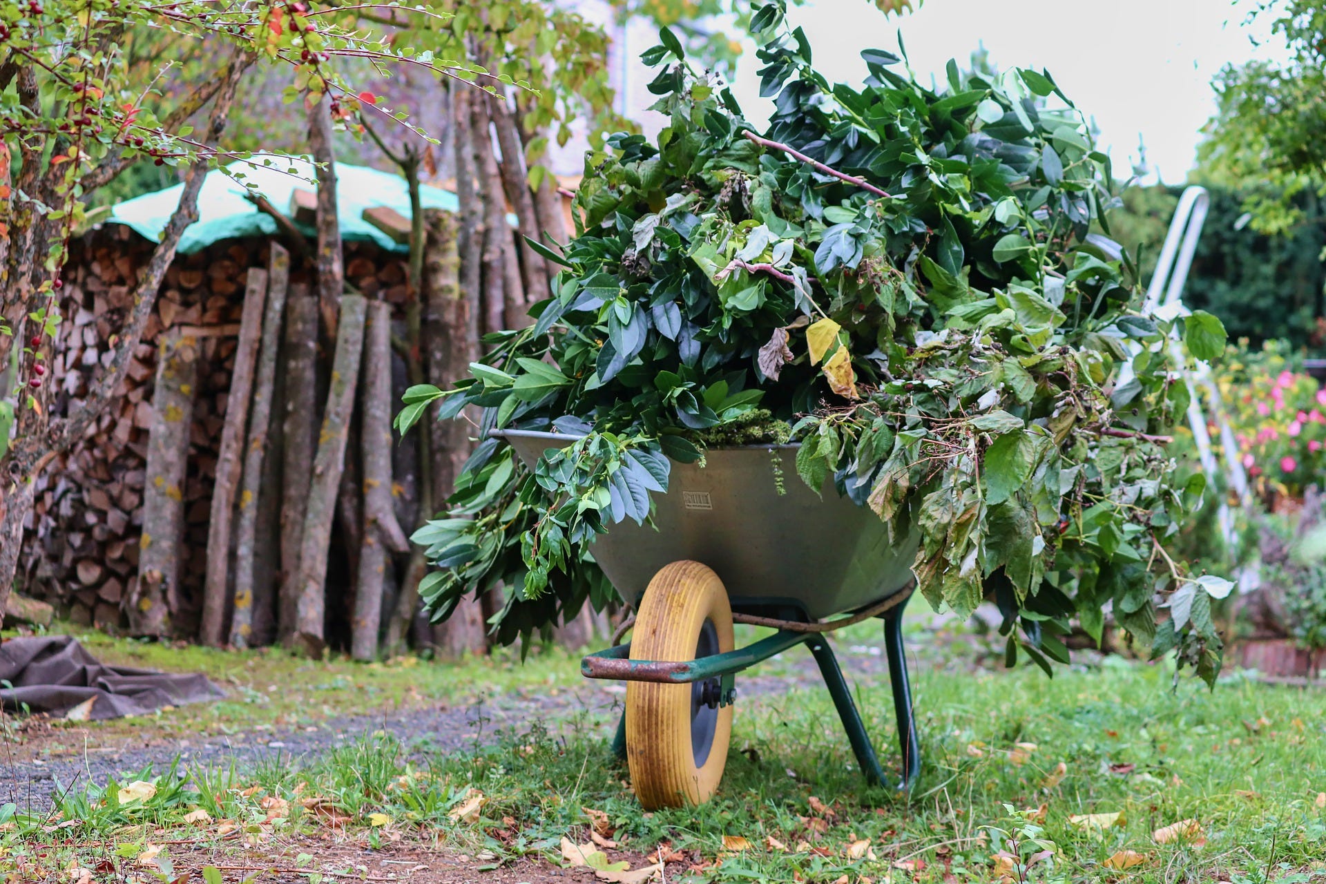 Shop | BauGro - Vielfalt für Haus und Garten