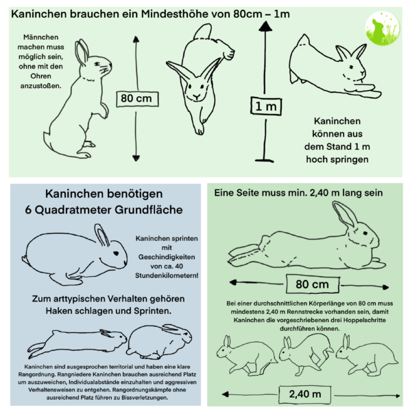 Kaninchen Im Sommer Draußen Bis Wieviel Grad Kaninchenwiese - Wissenswertes | Tierarztpraxis Hendricks
