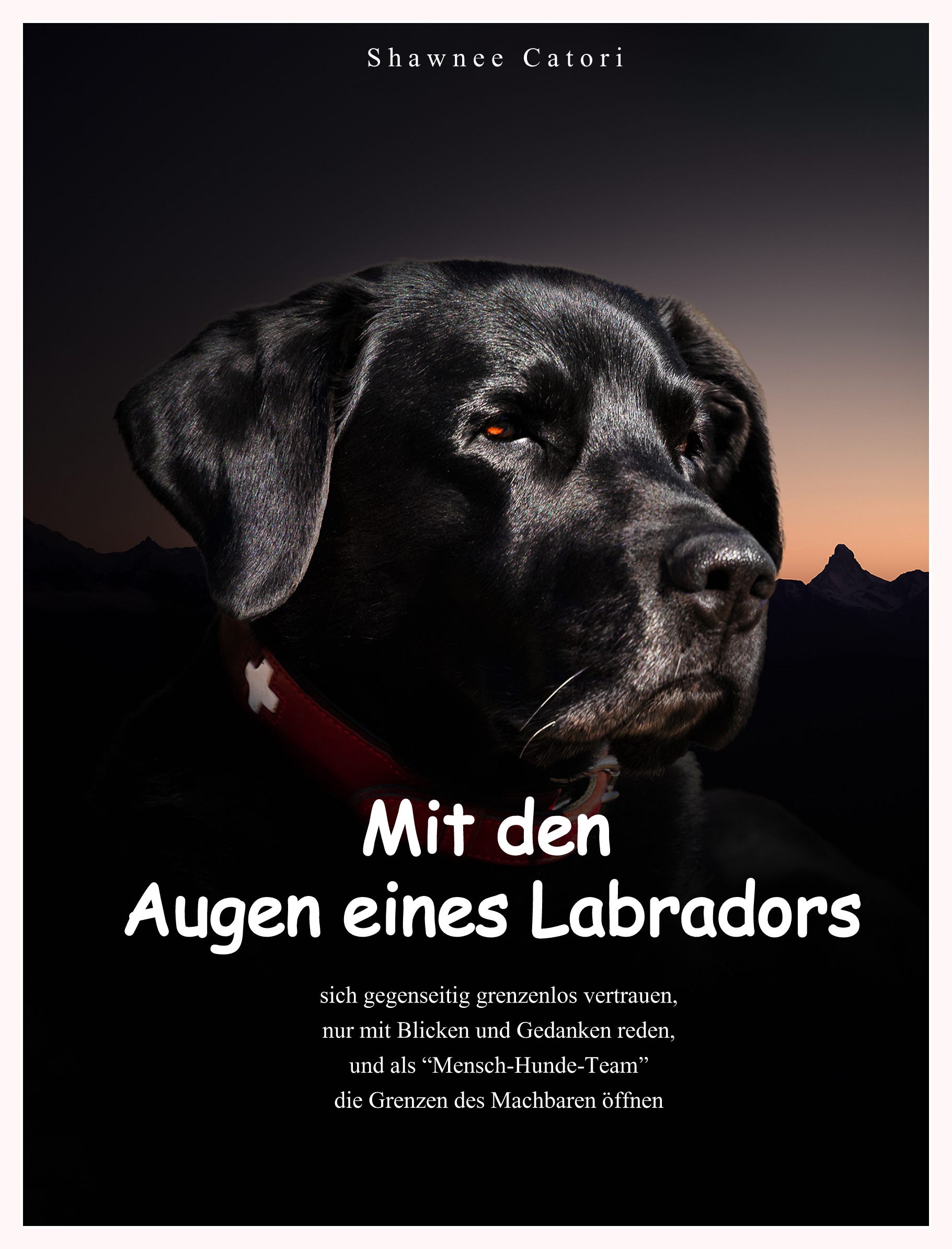 Labcorp Shawnee - dx3f8sx