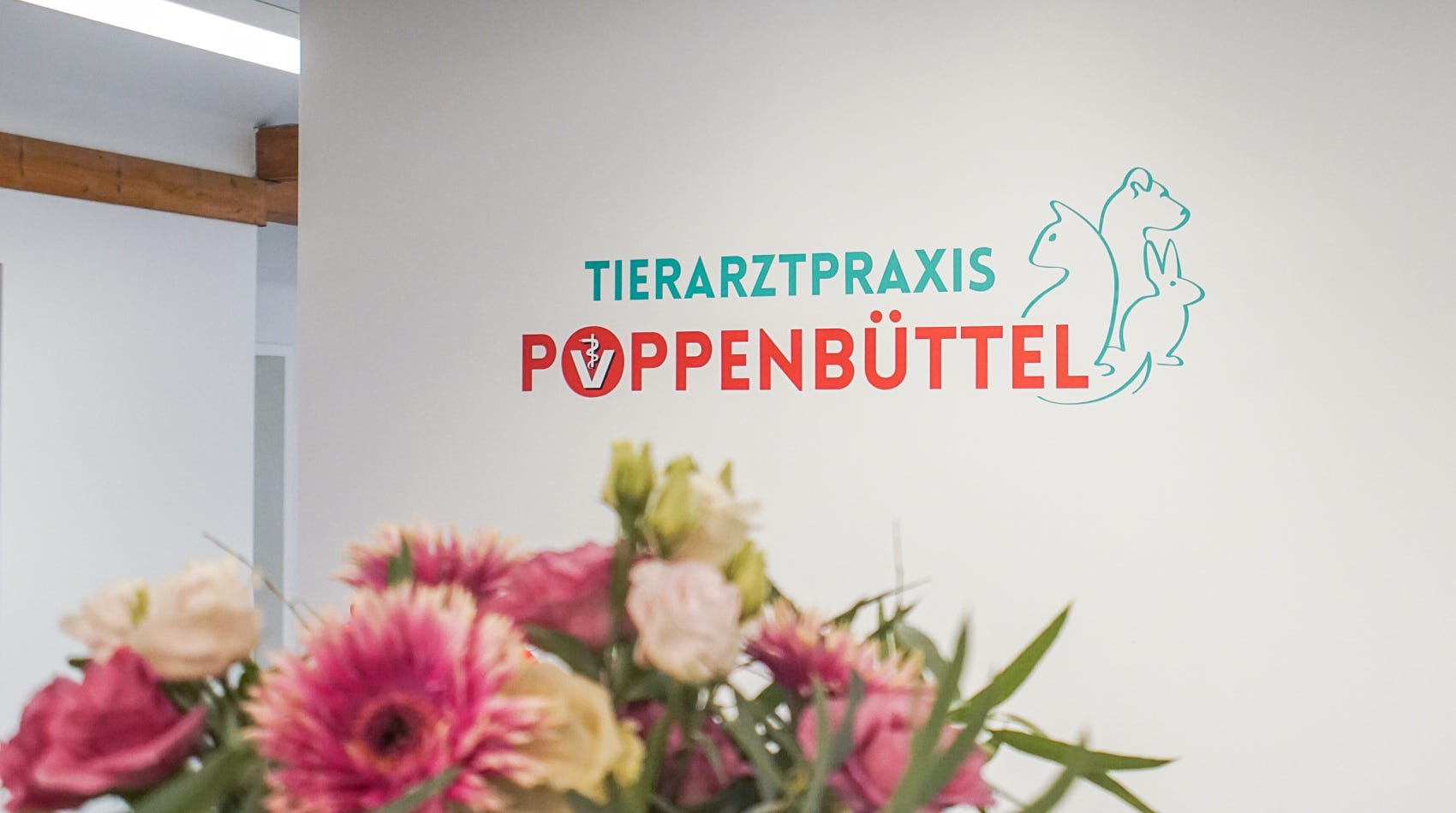 Tierarztpraxis Poppenbüttel Julia Stadelmann & Anne Skuballa Herzlich Willkommen | Tierarztpraxis Poppenbüttel