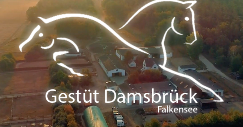Home | Gestüt Damsbrück