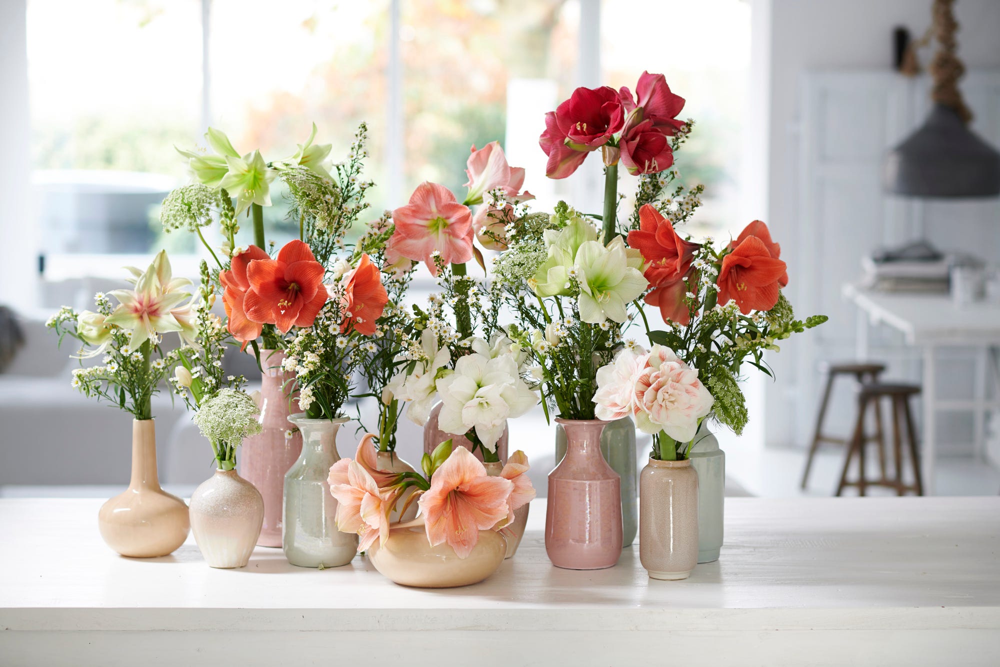 46+ Tausendschön Blumen Shop, Wo ist der beste standort, um