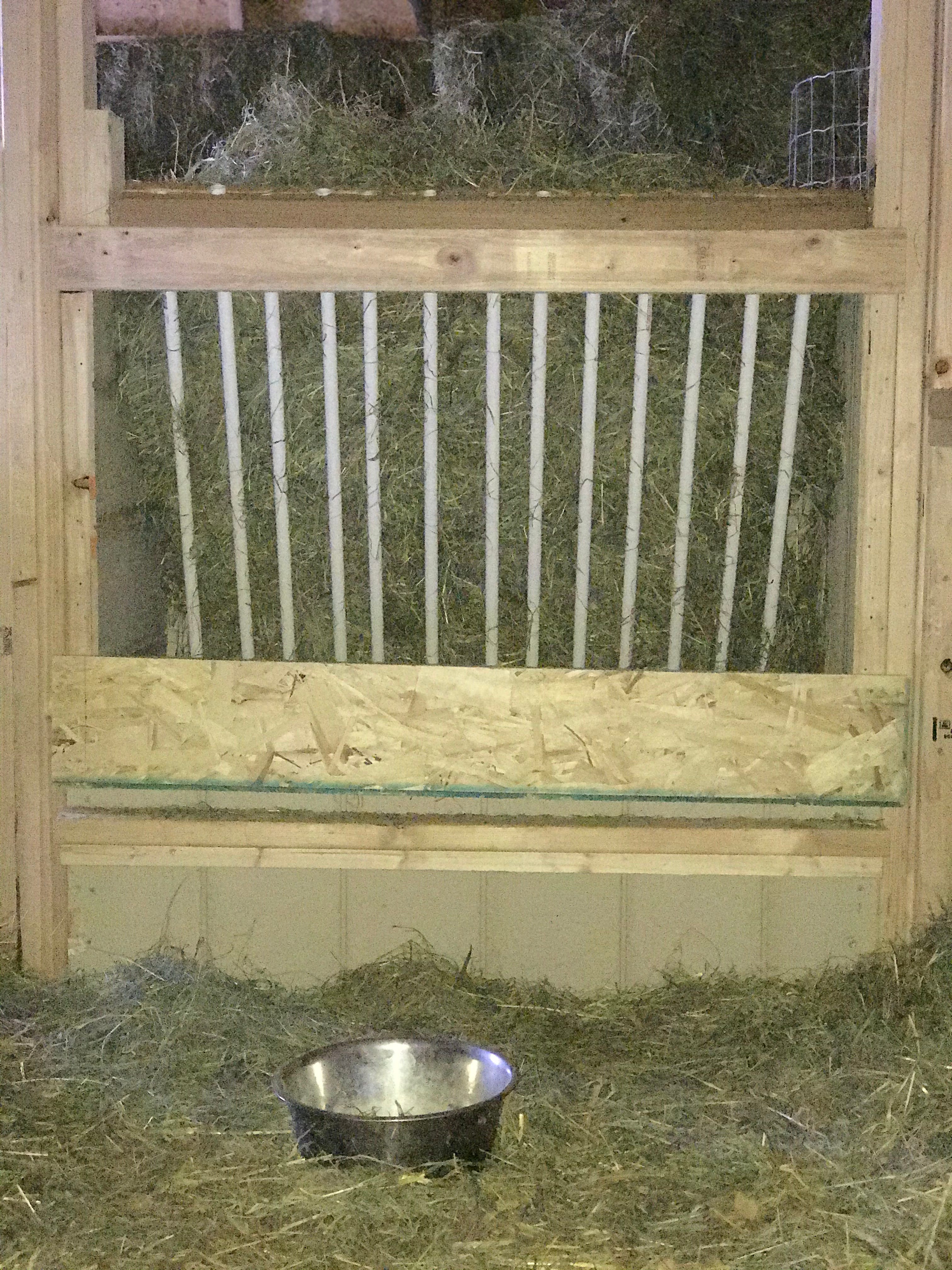 Goat Setup Care Sources Packa Sweets Milk And Meats goat-setup-care-sources-packa-sweets-milk-and-meats