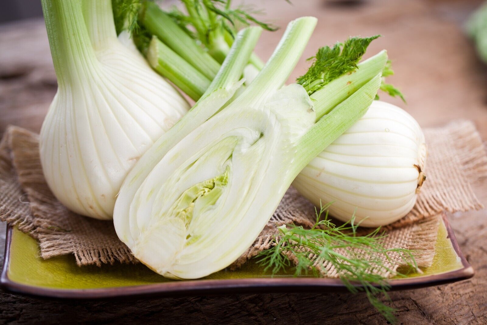 Fenchel - frisches Gemüse - Shop | Büning ist lecker!