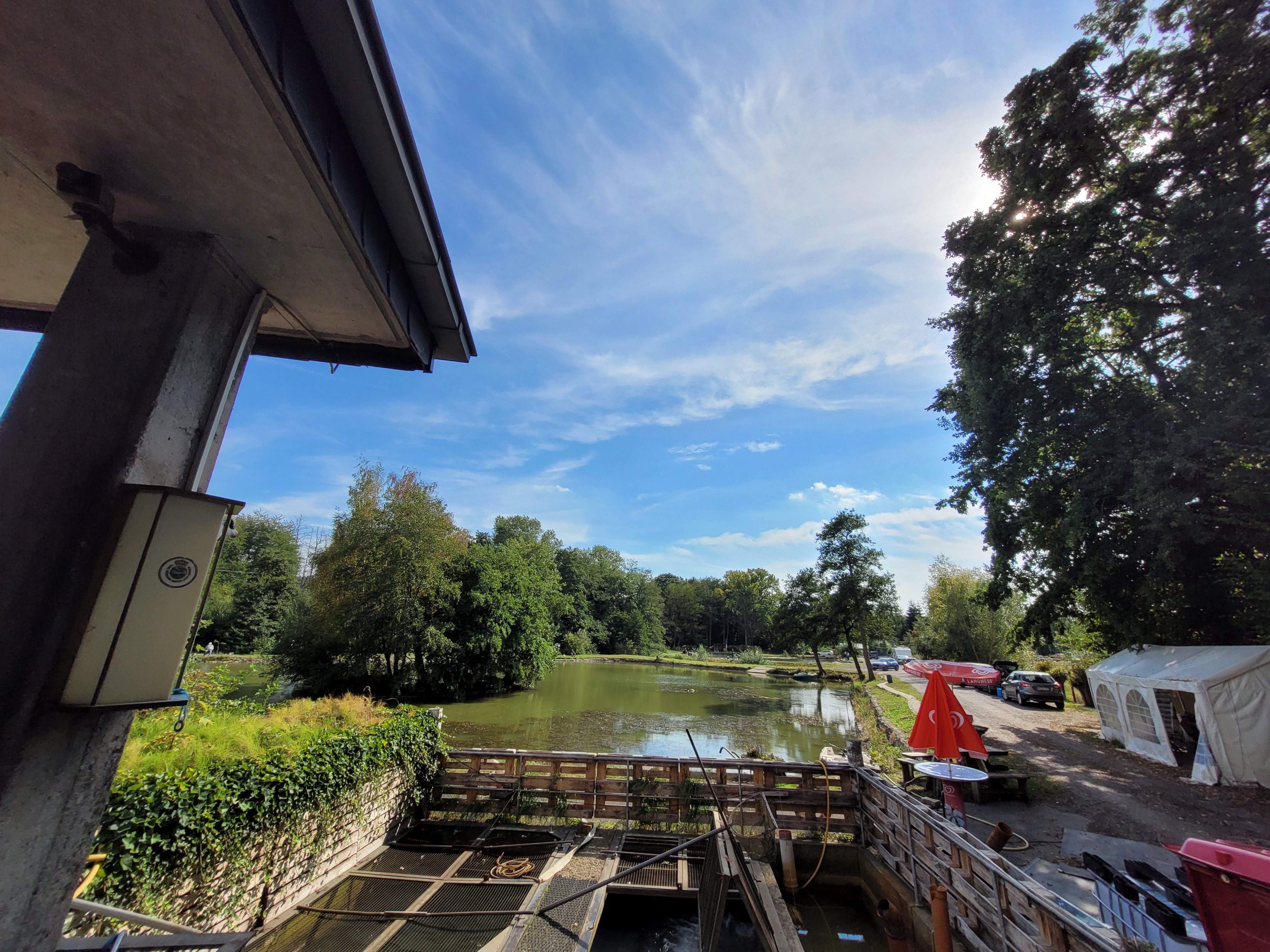 News Teichanlage | Anglerparadies - Refflingsen - Sauerland - Forellen ...