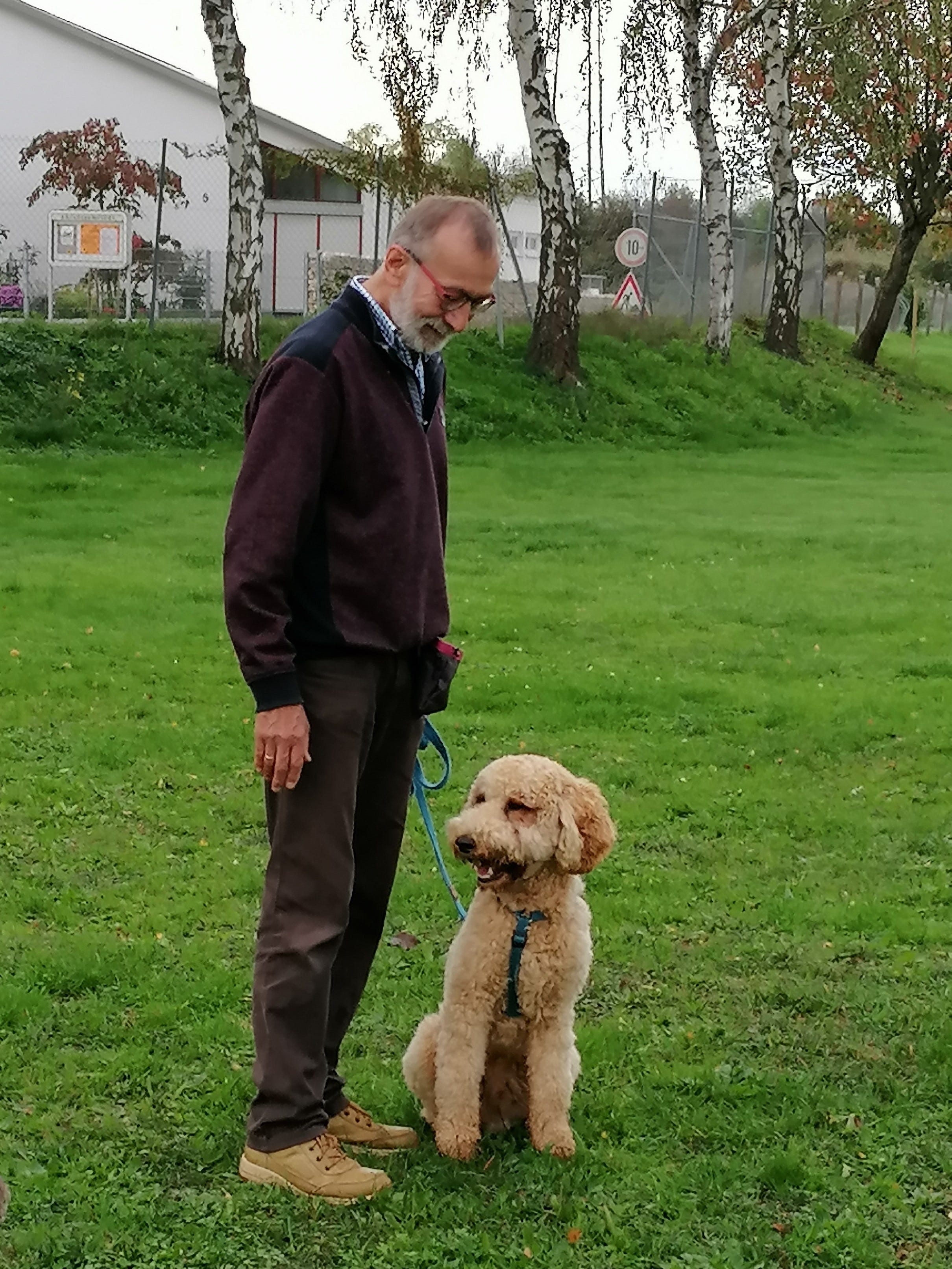 Unsere Teams Der Verein Hundeverein Herbolzheim unsere-teams-der-verein-hundeverein-herbolzheim