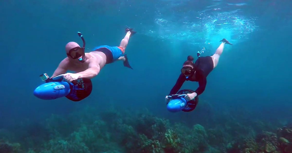 Best snorkeling experience | Private half day/Full day boat charters,  activity rich