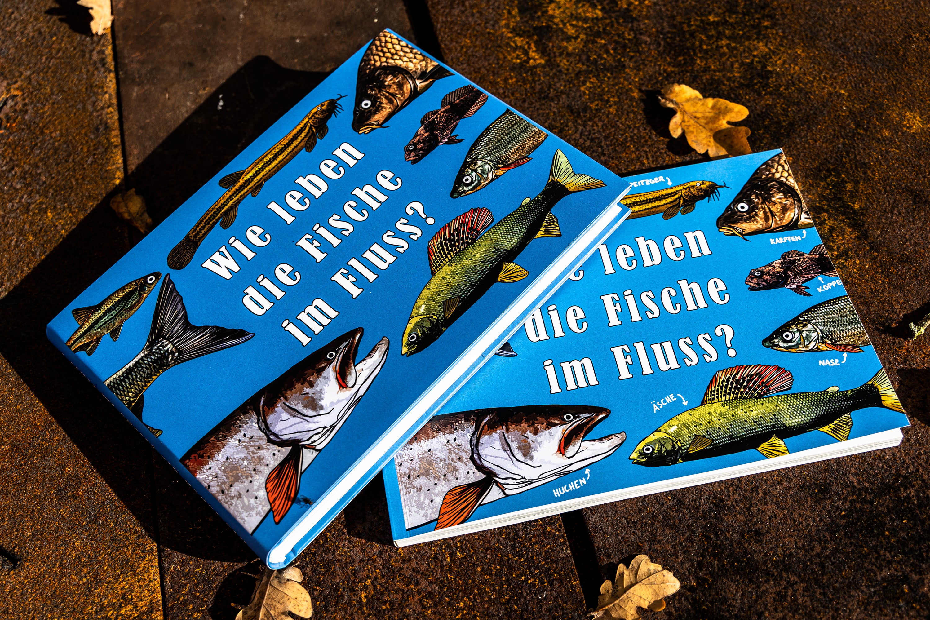 Home | Fische im Fluss