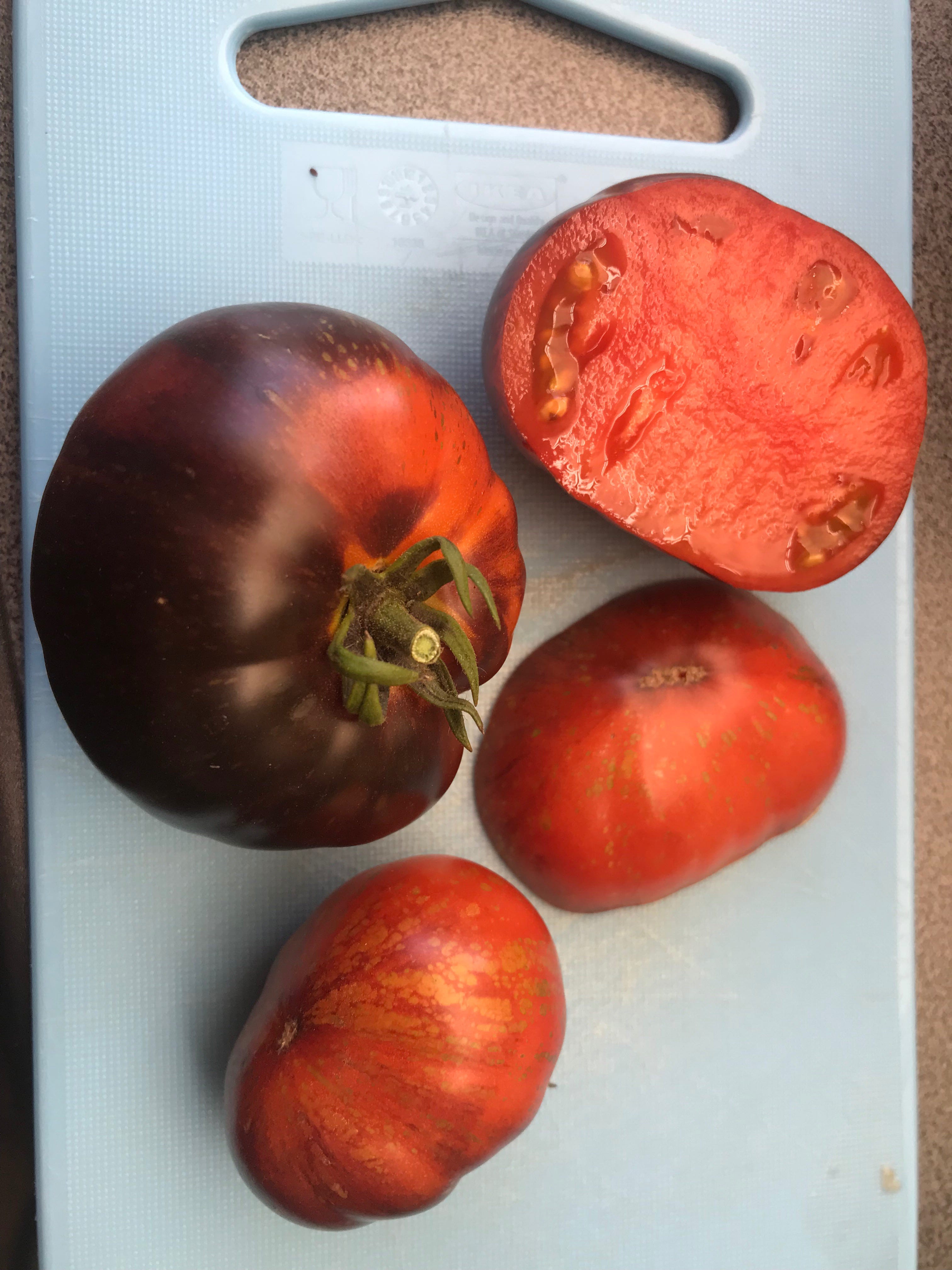 Blue Fire Tomate - Bunte Salattomaten - Shop | Harvest Heaven