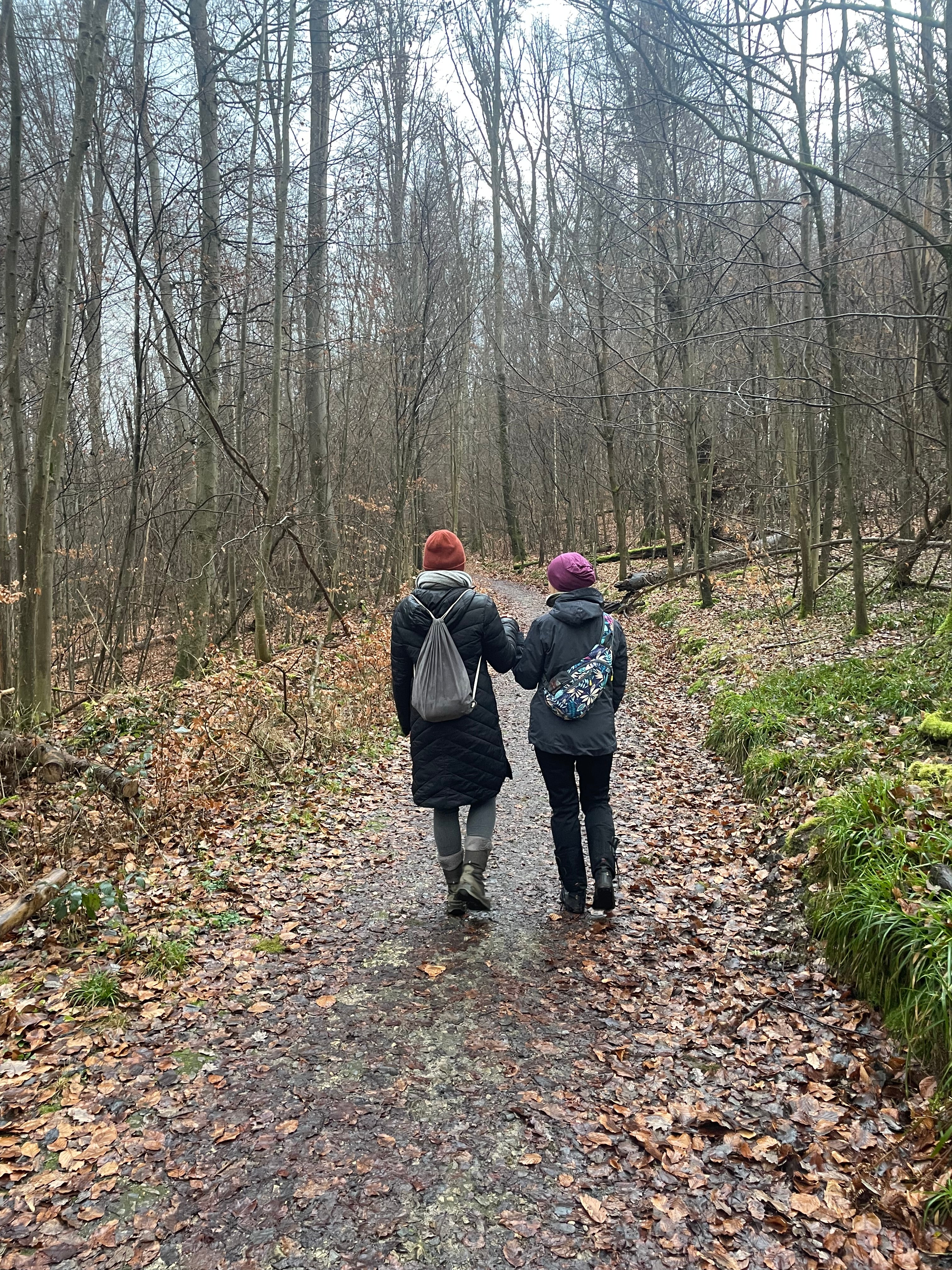 Ausbildung Kursleiter Waldbaden - Waldbaden/Naturcoach Ausbildungen ...