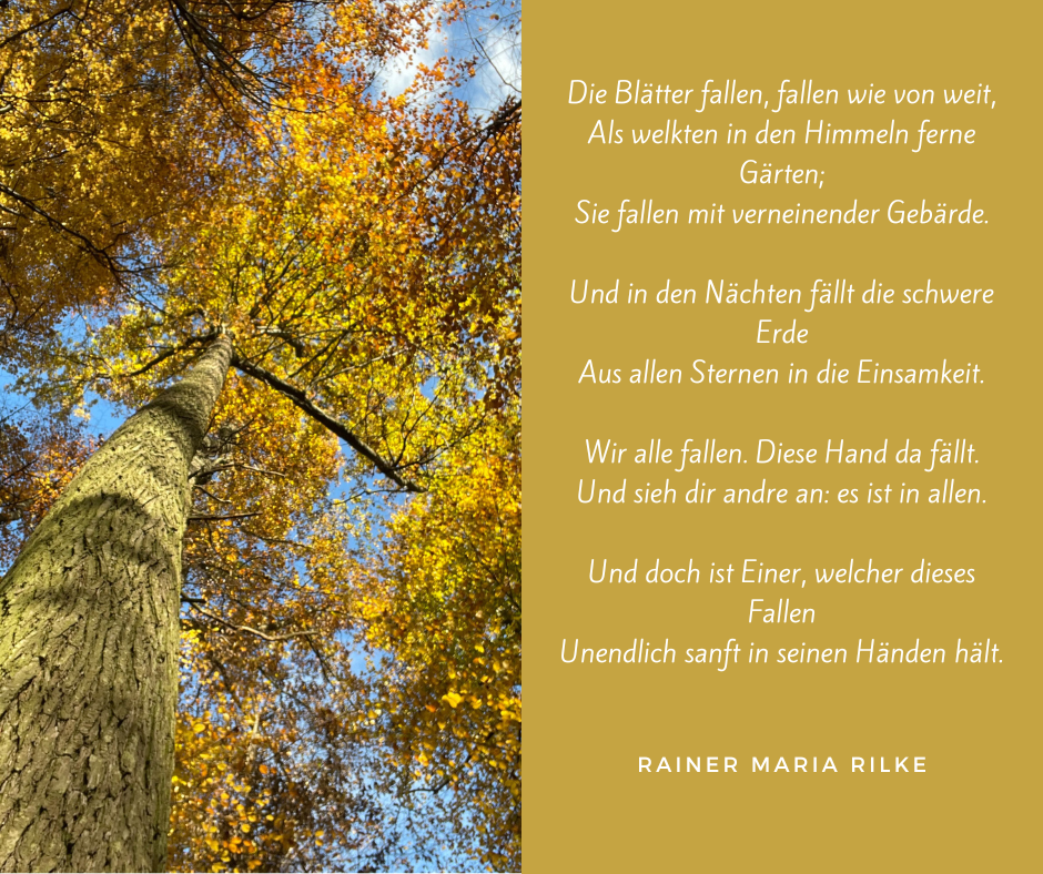 Die Blätter Fallen Fallen Wie Von Weit Rilke Wald Poesie - Wald News | Forest Healing - Institut für Wald- und