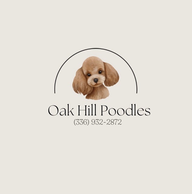 Oak sales hill poodles