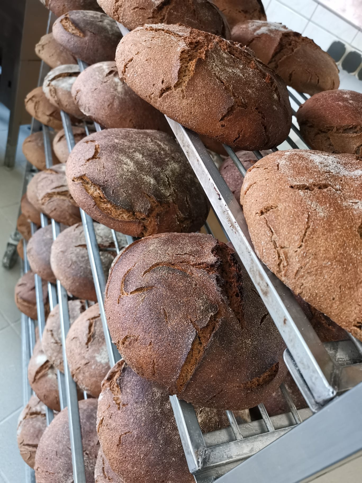 Roggen-Vollkornbrot - Bio Brote | Regenbogenhof Schott Held