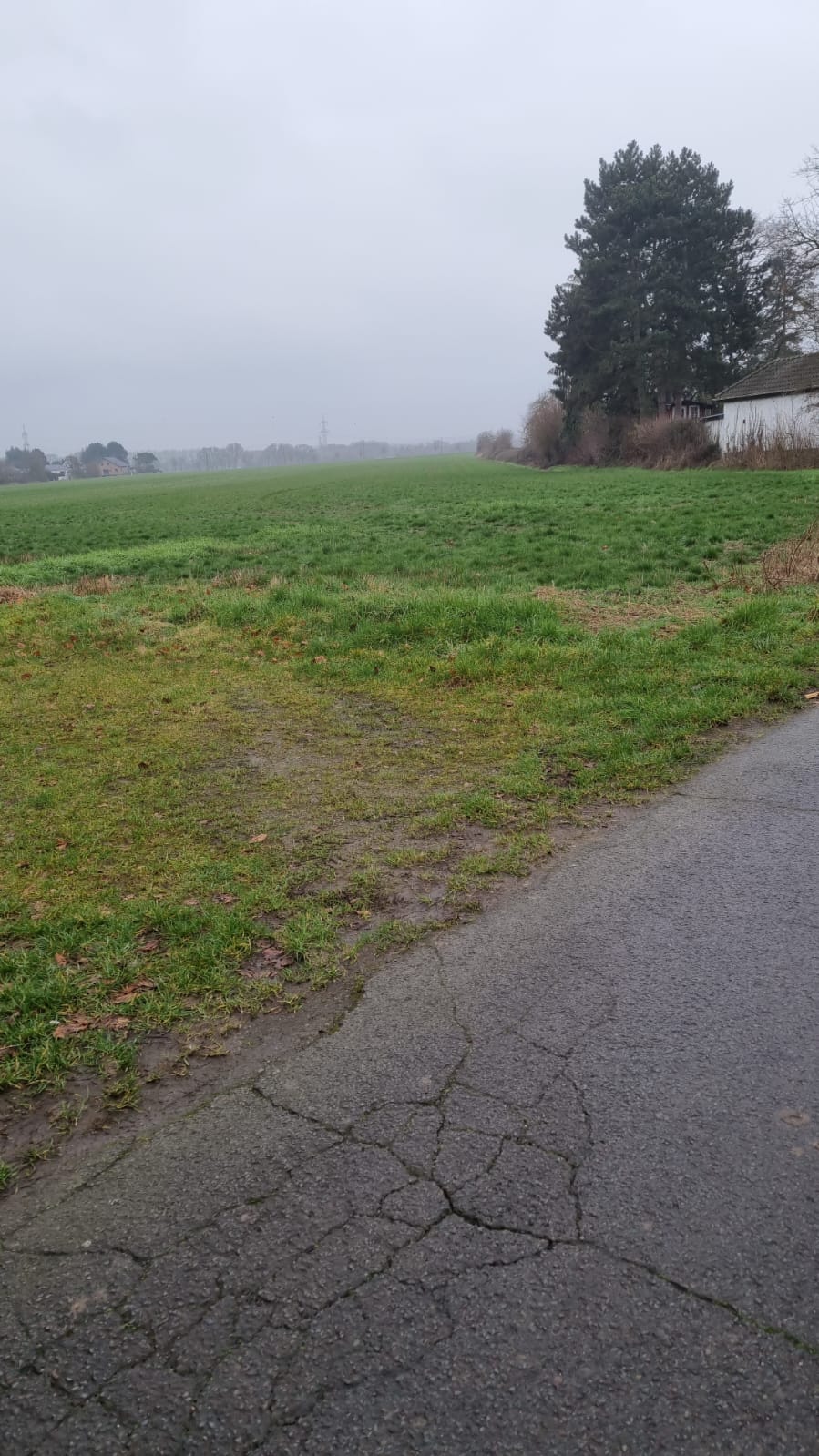 Streuobstwiesen in Südkamenn Projekte Heimatpflege Südkamen