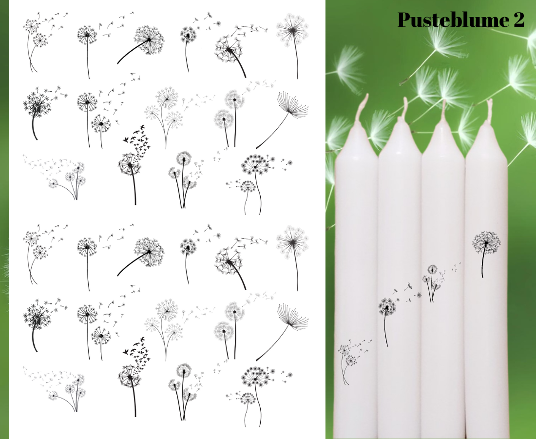Pusteblume 2 (S051) Sprüche Shop KreativseinDesign
