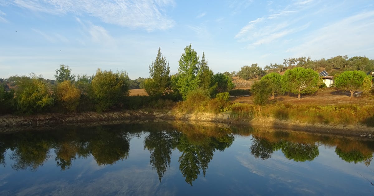 What Is Water Retention English Website Wasserretention what-is-water-retention-english-website-wasserretention