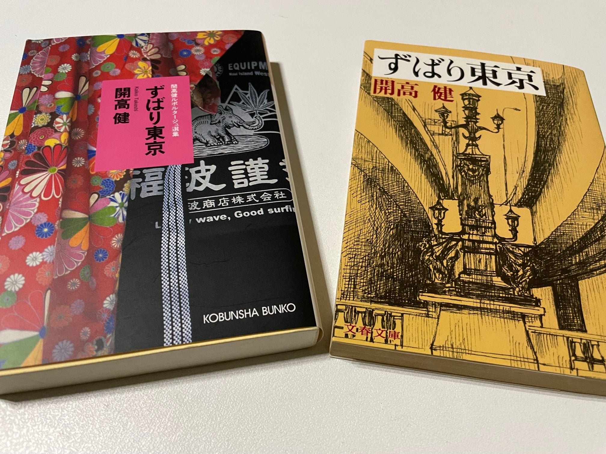 開高健に私淑していた 高恵美子著 ヨーロッパの白い窓 - 文学、小説