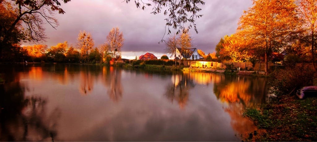Teiche Angelparadies Herrhausen