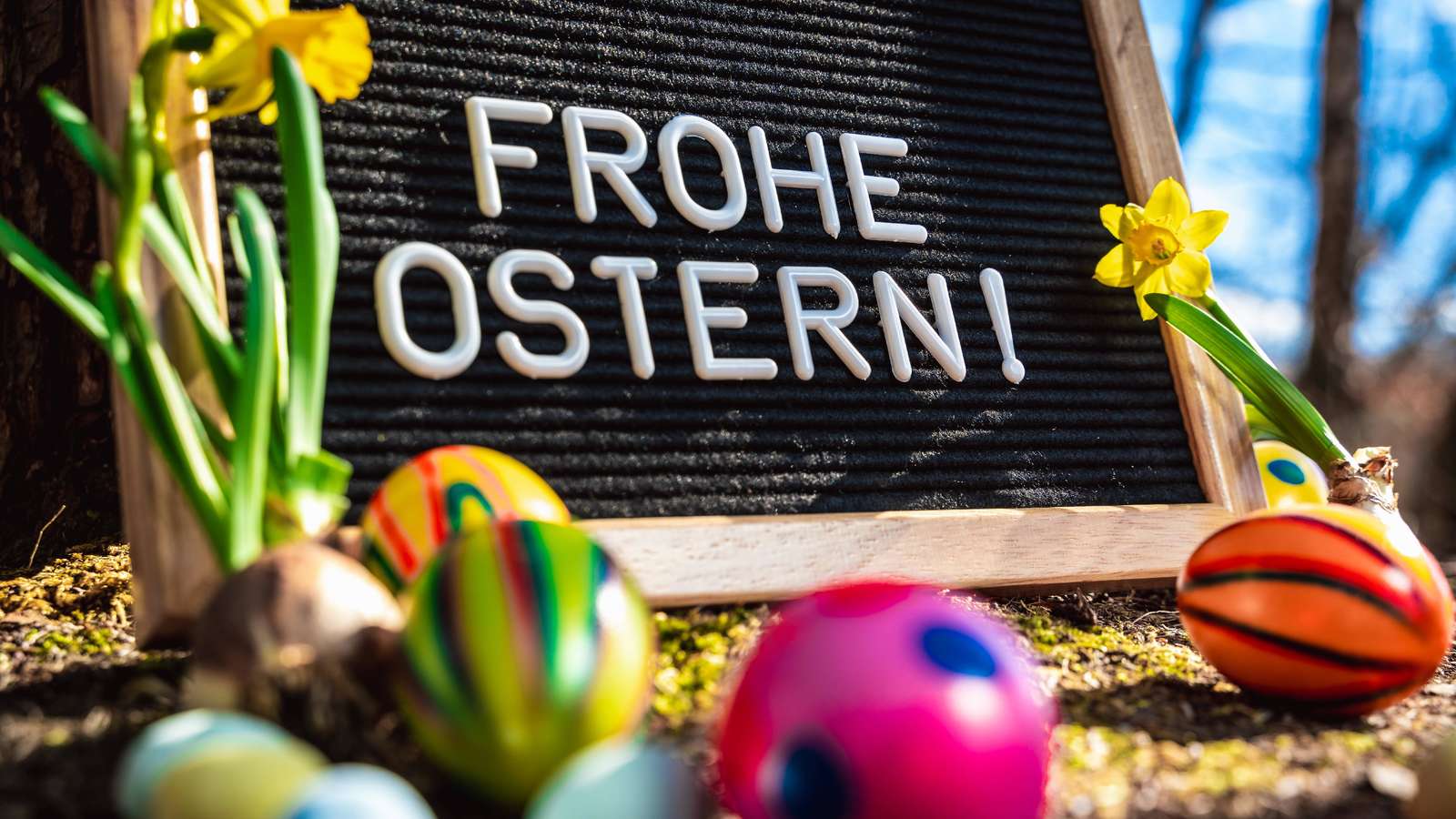 Ostern-Bilder - GALERIE  Bihlmayer Media