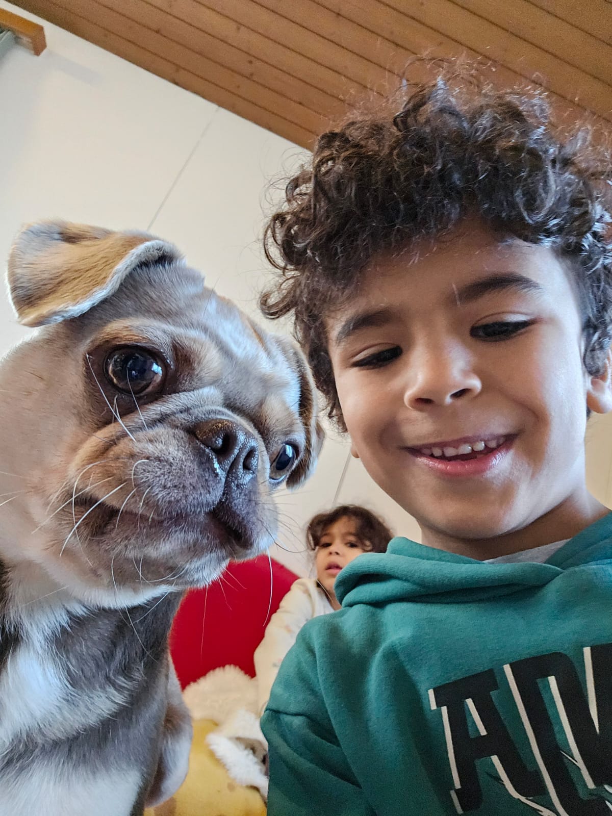 Mops | Knautschnasen zum lieb haben