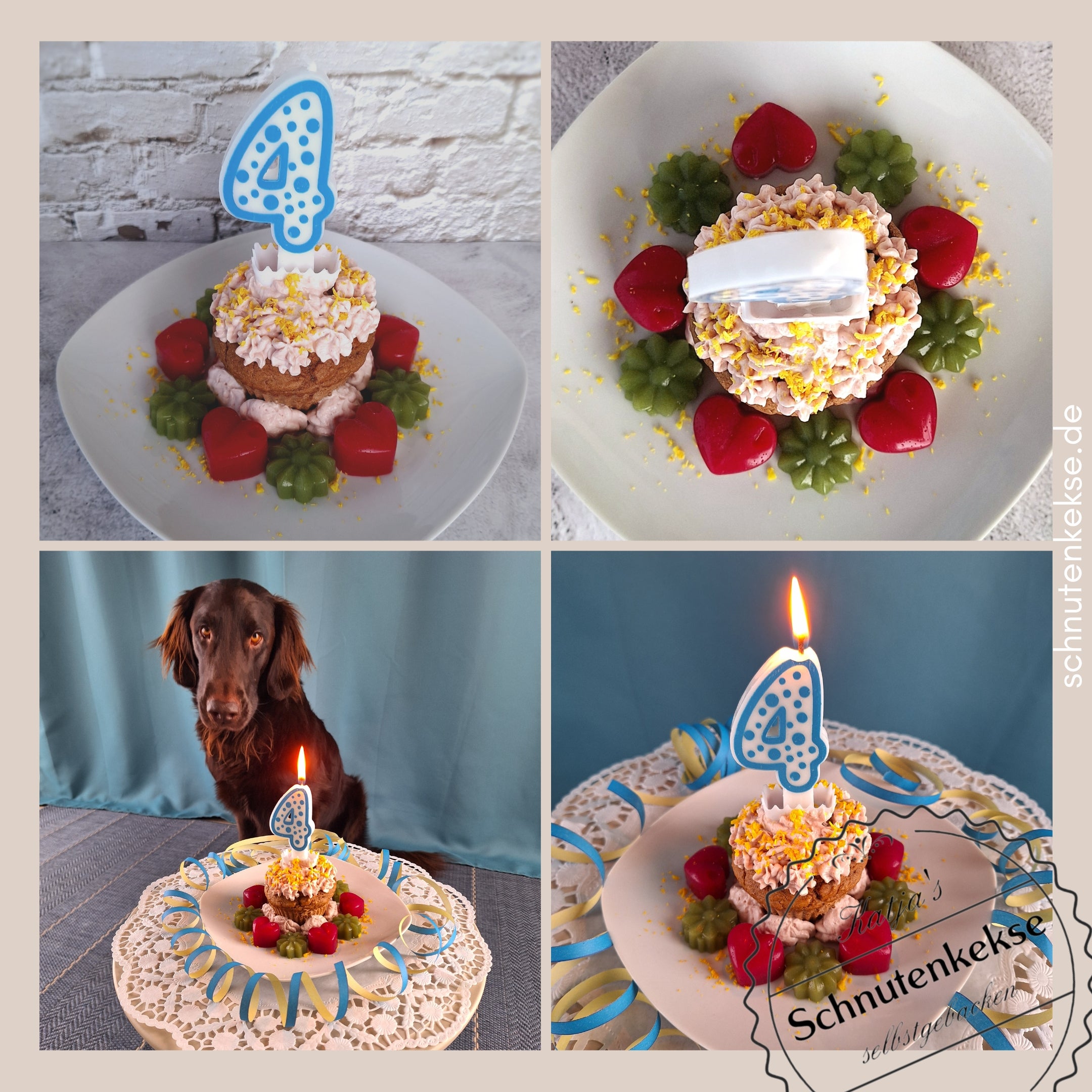 Rezepte für Hunde | SCHNUTENKEKSE