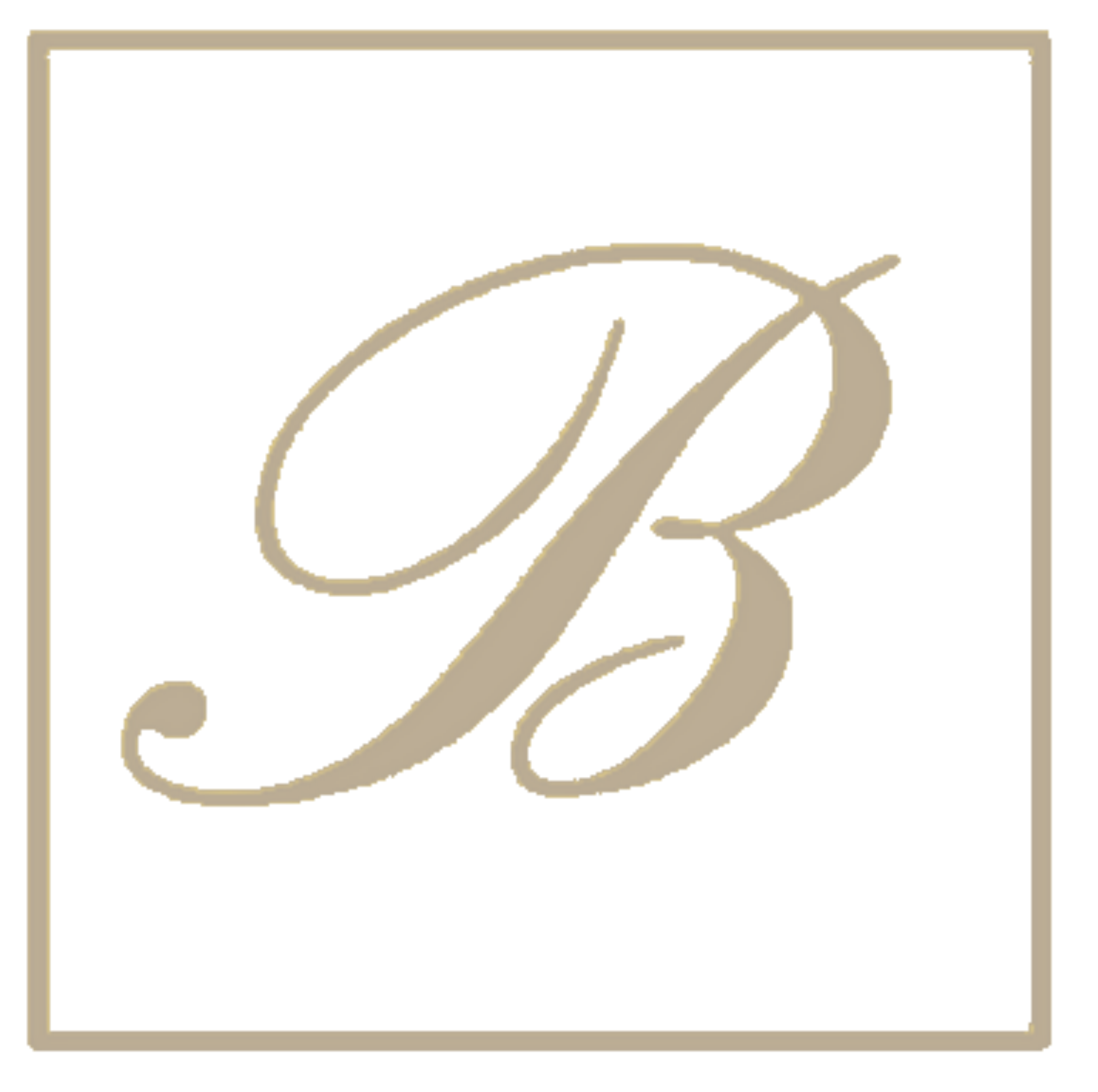 Depuis 150 ans | Champagne Barnaut à Bouzy