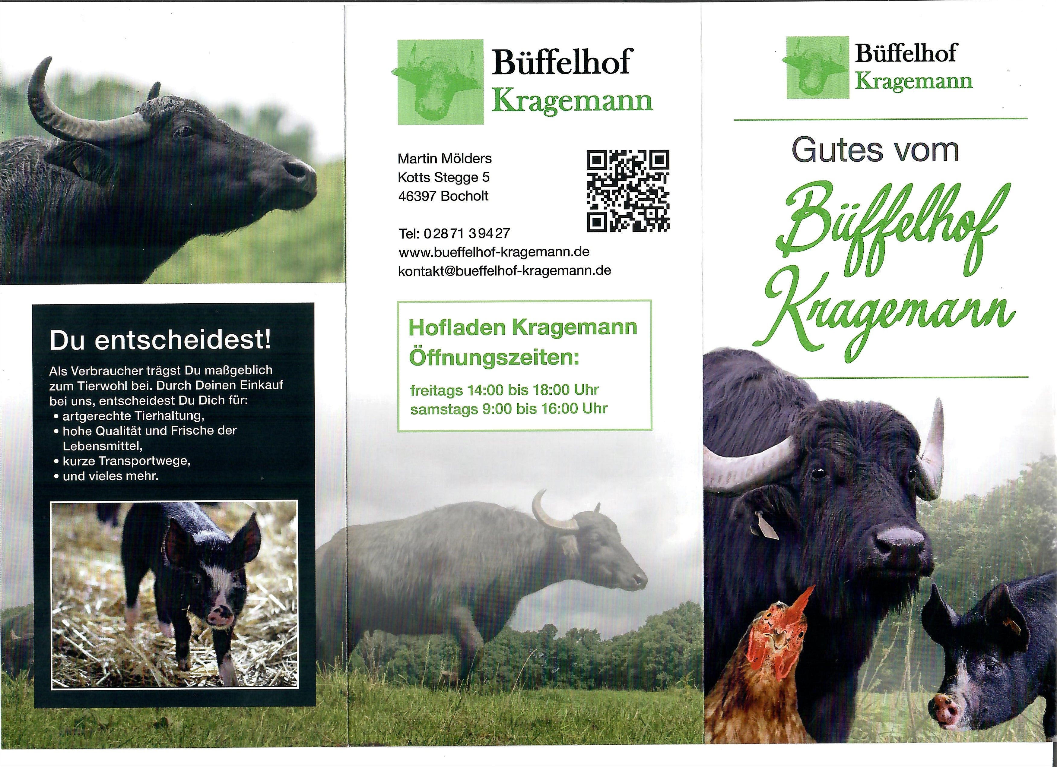 Home Büffelhof Kragemann