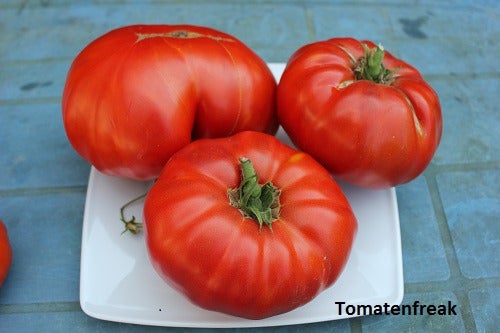 Tomate Vierländer Platte - Fleisch Tomaten - Shop | Tomatenfreak