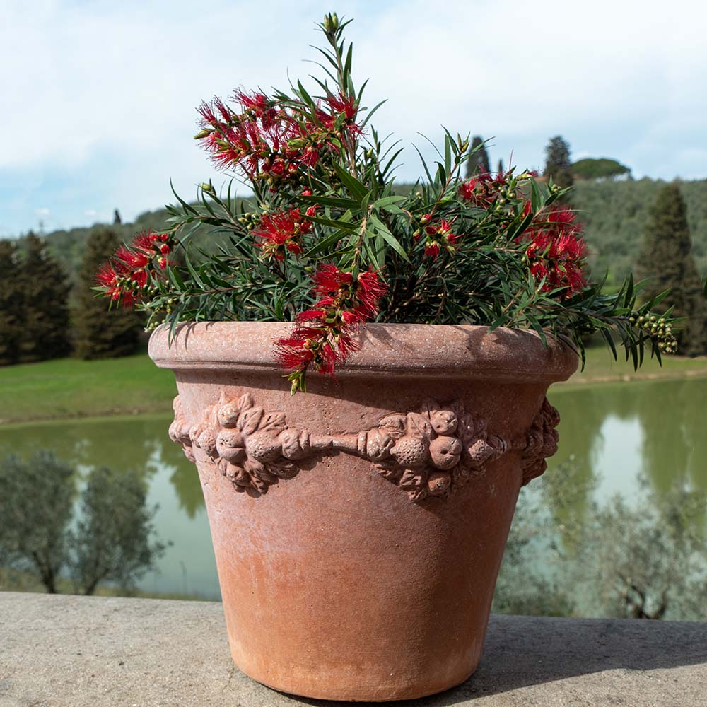 Webshop | Certaldo Terracotta